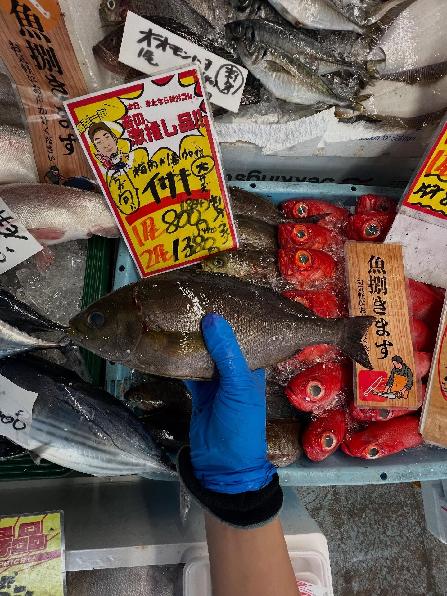 本日、日曜は大特売祭り！🐟