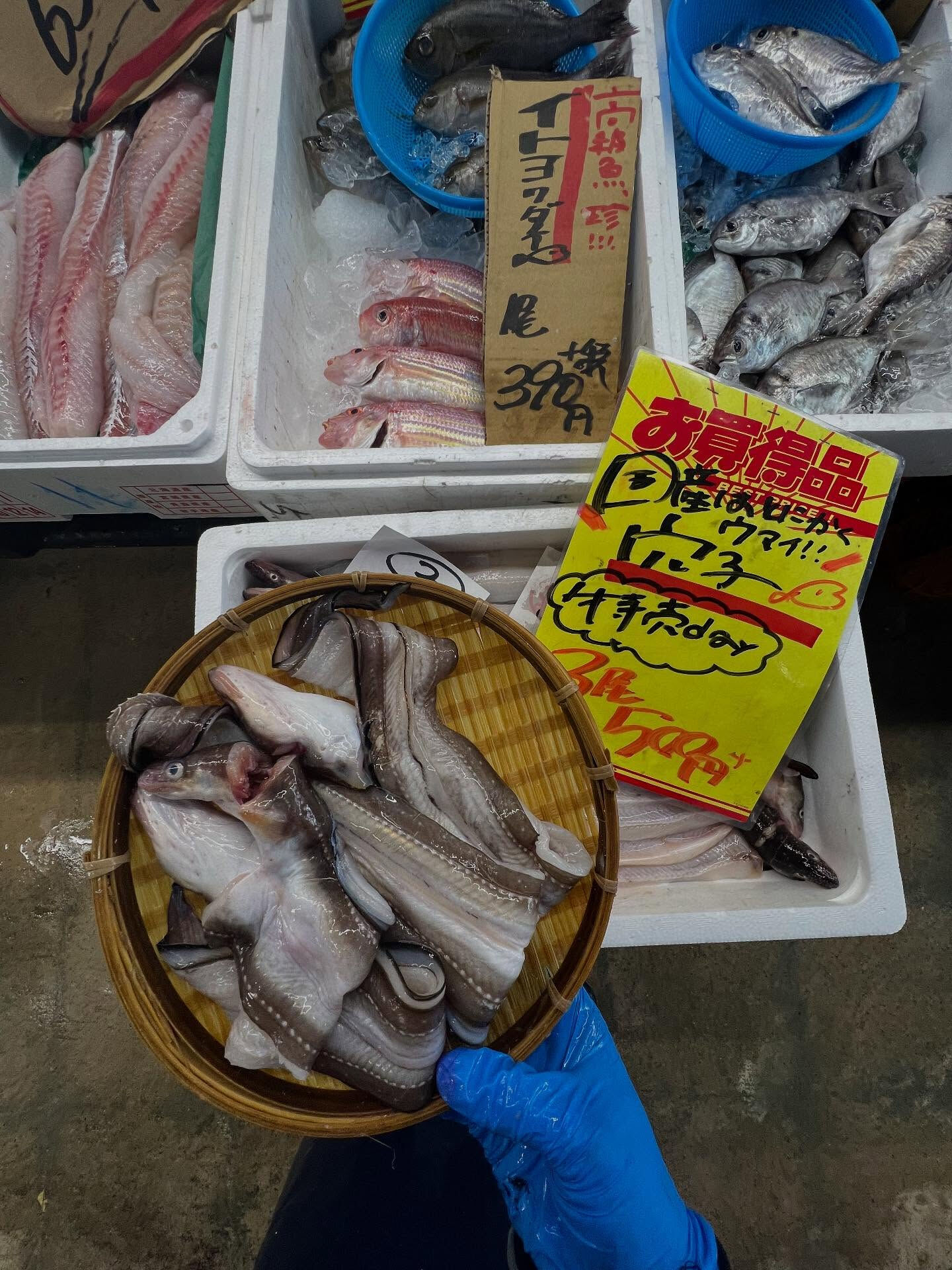 本日、日曜は大特売祭り！🐟