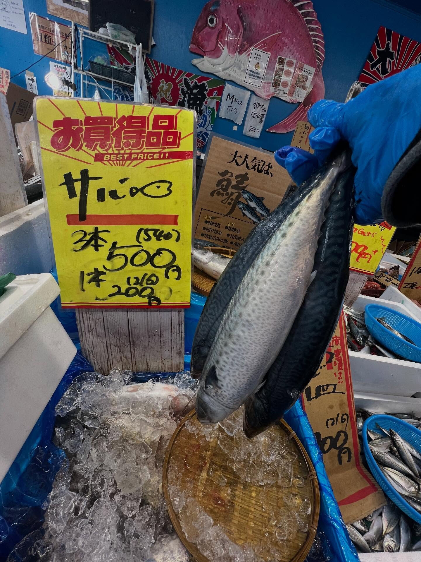 本日、日曜は大特売祭り！🐟