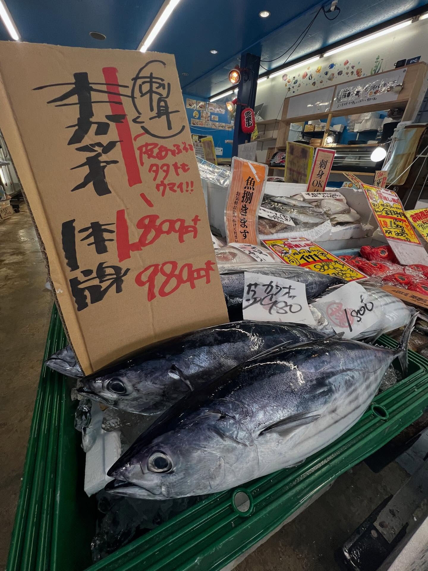 本日、日曜は大特売祭り！🐟