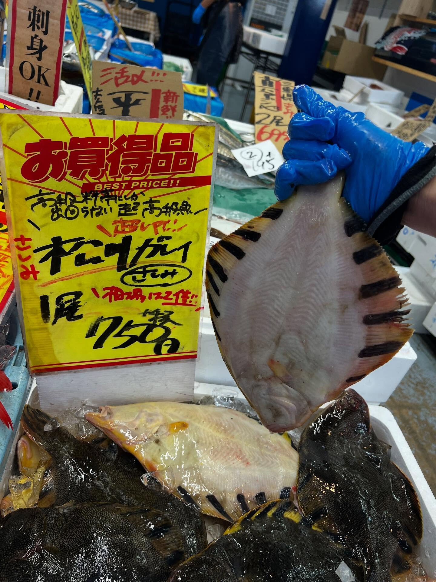 本日、日曜は大特売祭り！🐟