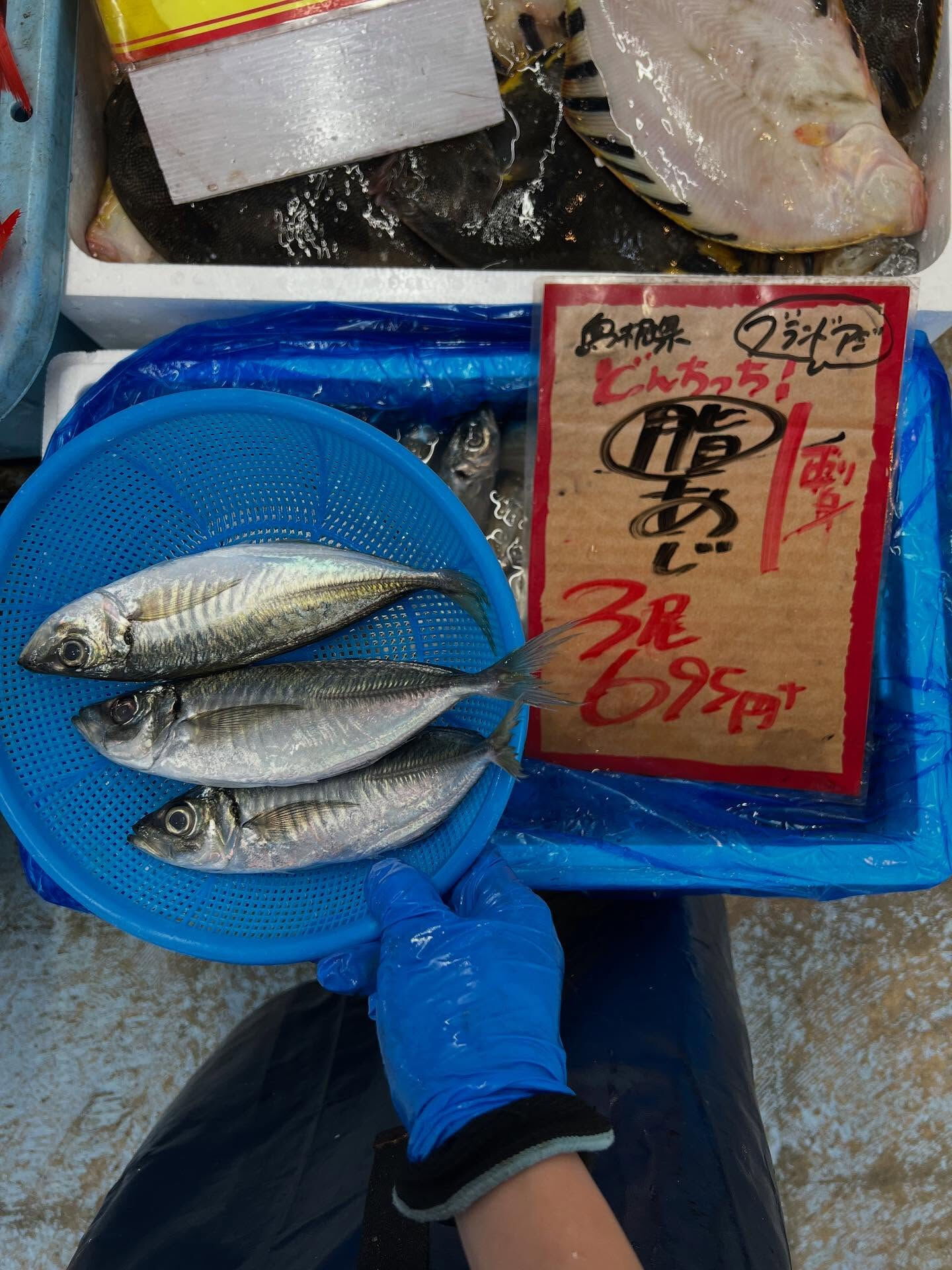 本日、日曜は大特売祭り！🐟
