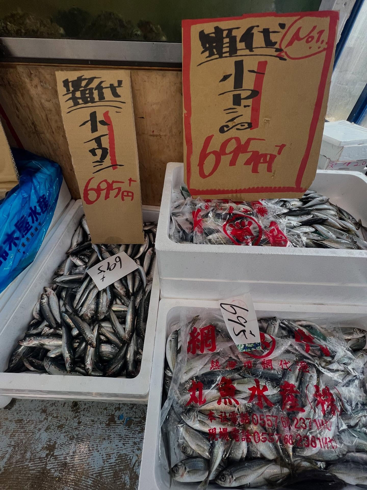 本日、日曜は大特売祭り！🐟