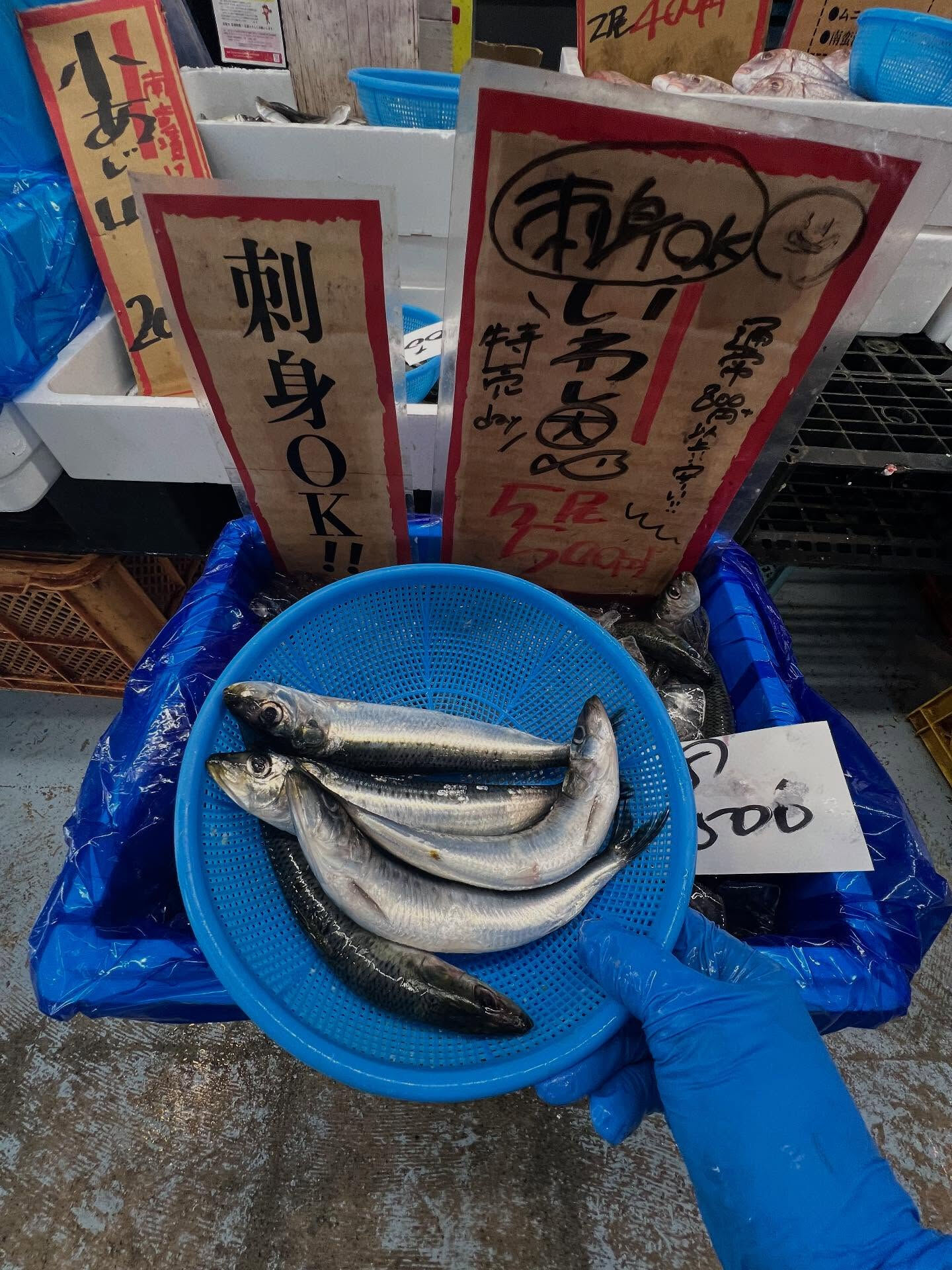 本日、日曜は大特売祭り！🐟