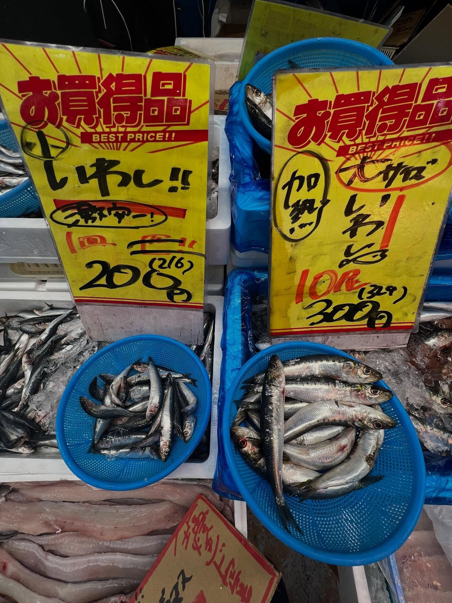 本日、日曜は大特売祭り！🐟