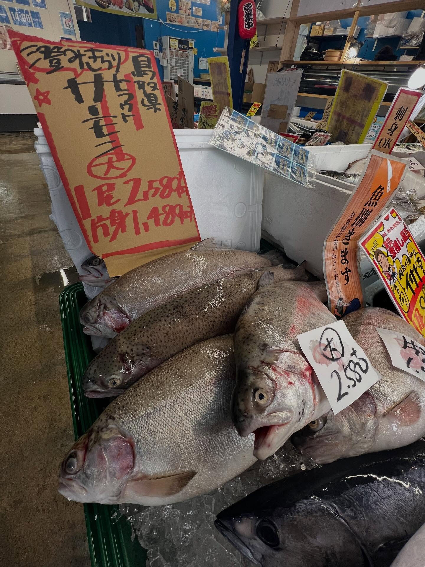 本日、日曜は大特売祭り！🐟