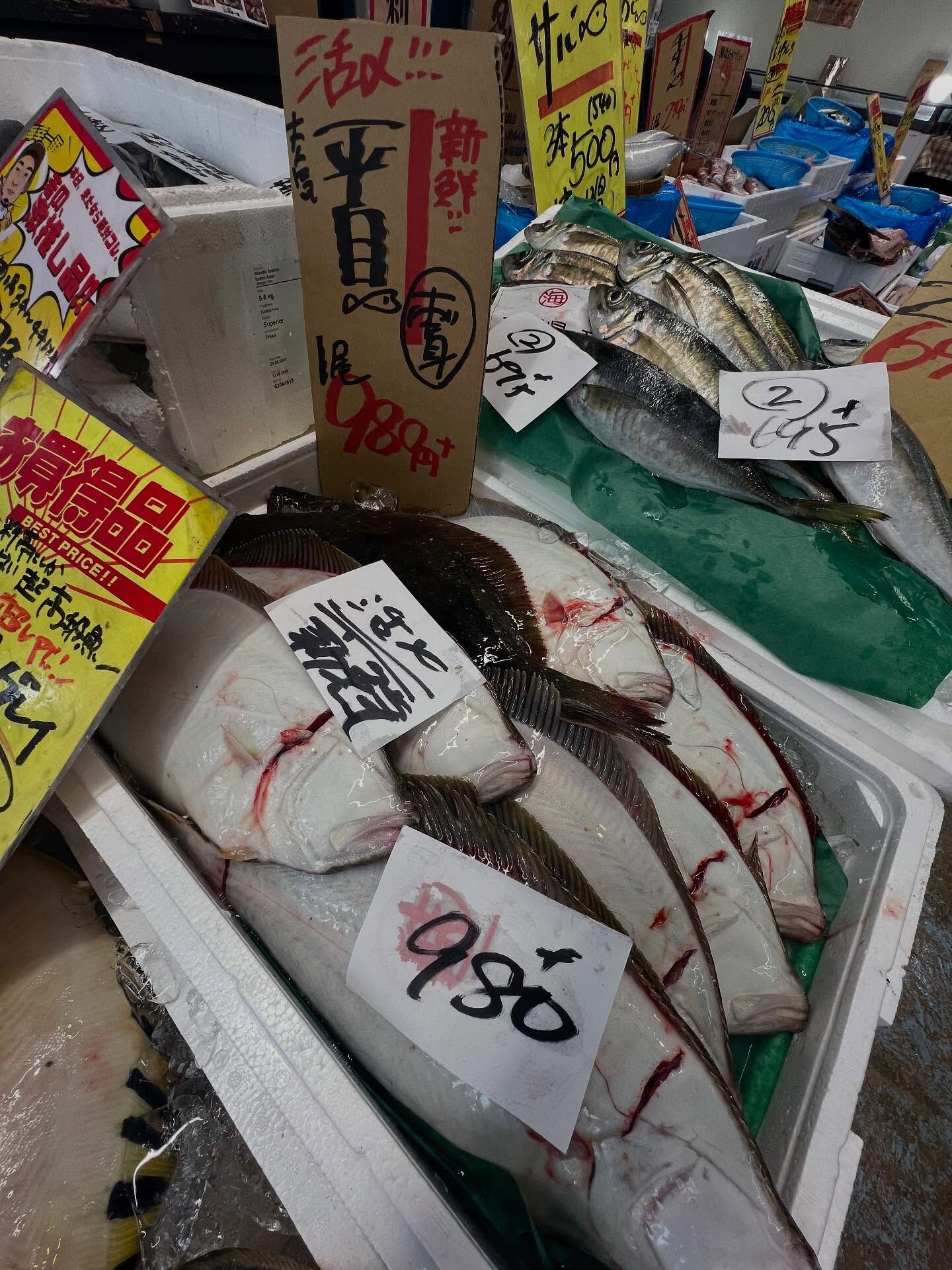 本日、日曜は大特売祭り！🐟