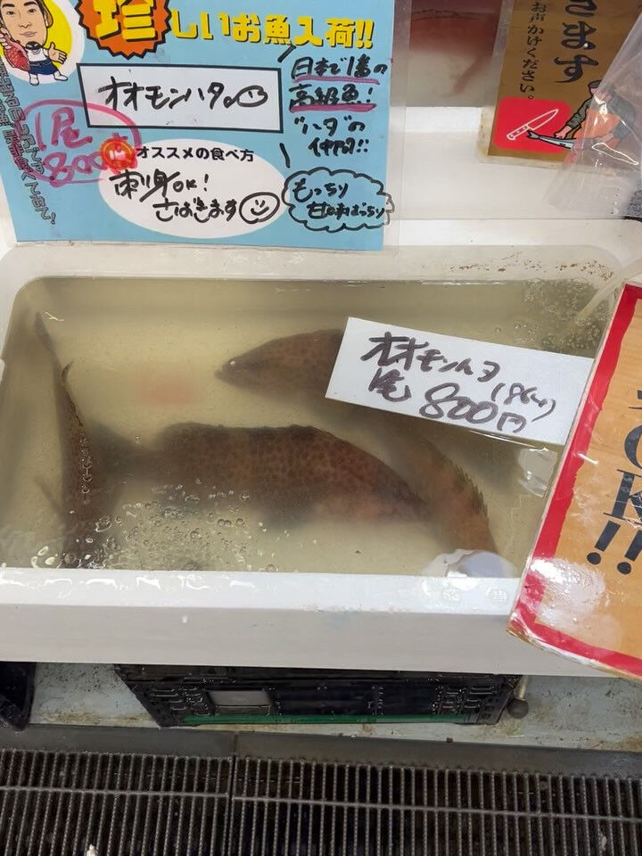 本日、日曜は大特売祭り！🐟