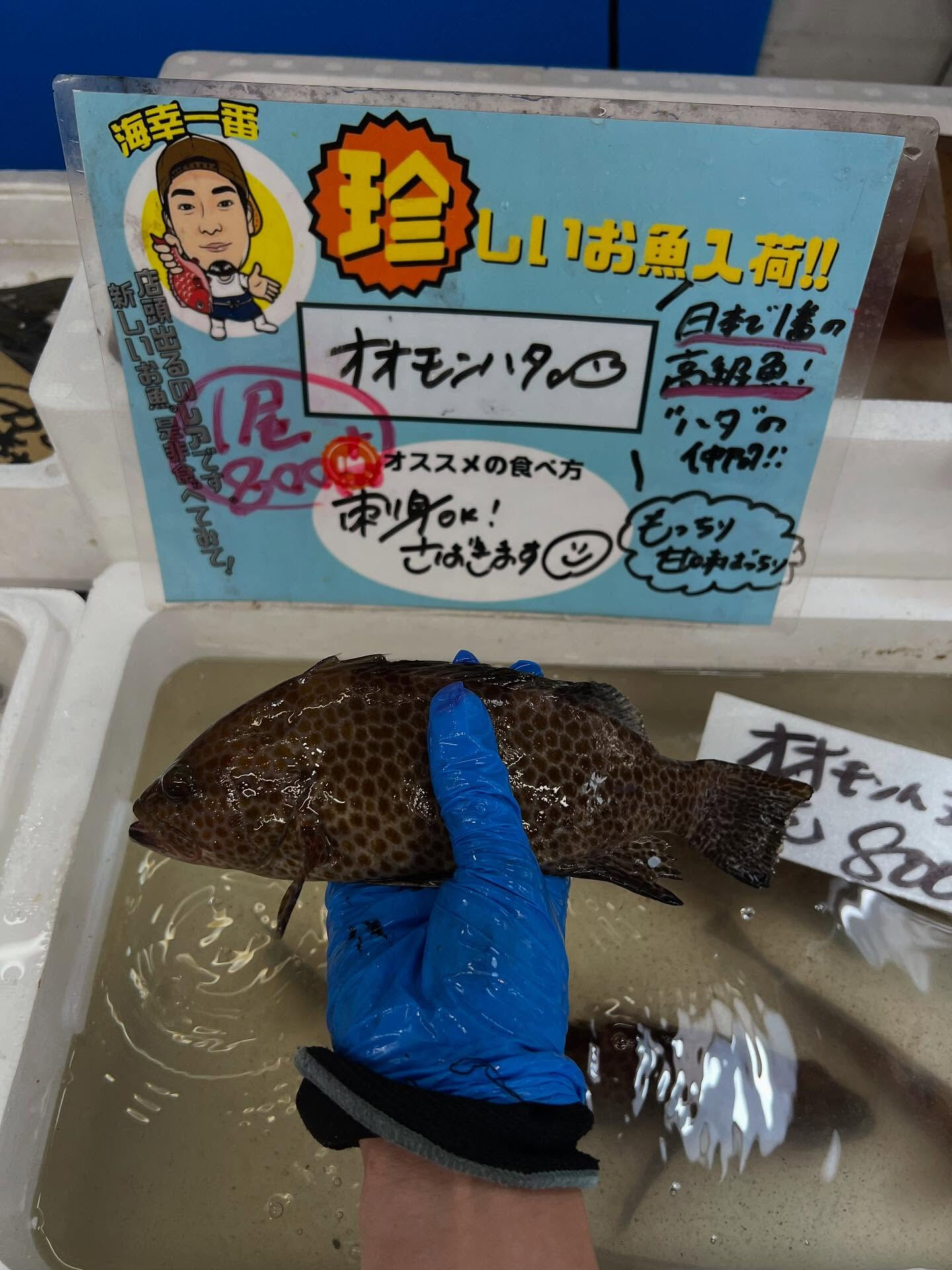 本日、日曜は大特売祭り！🐟