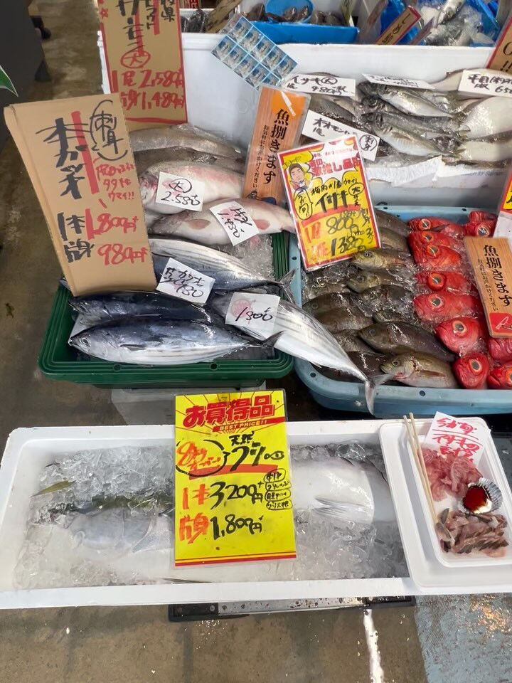 本日、日曜は大特売祭り！🐟