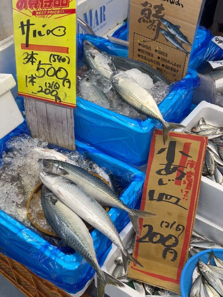 本日、日曜は大特売祭り！🐟