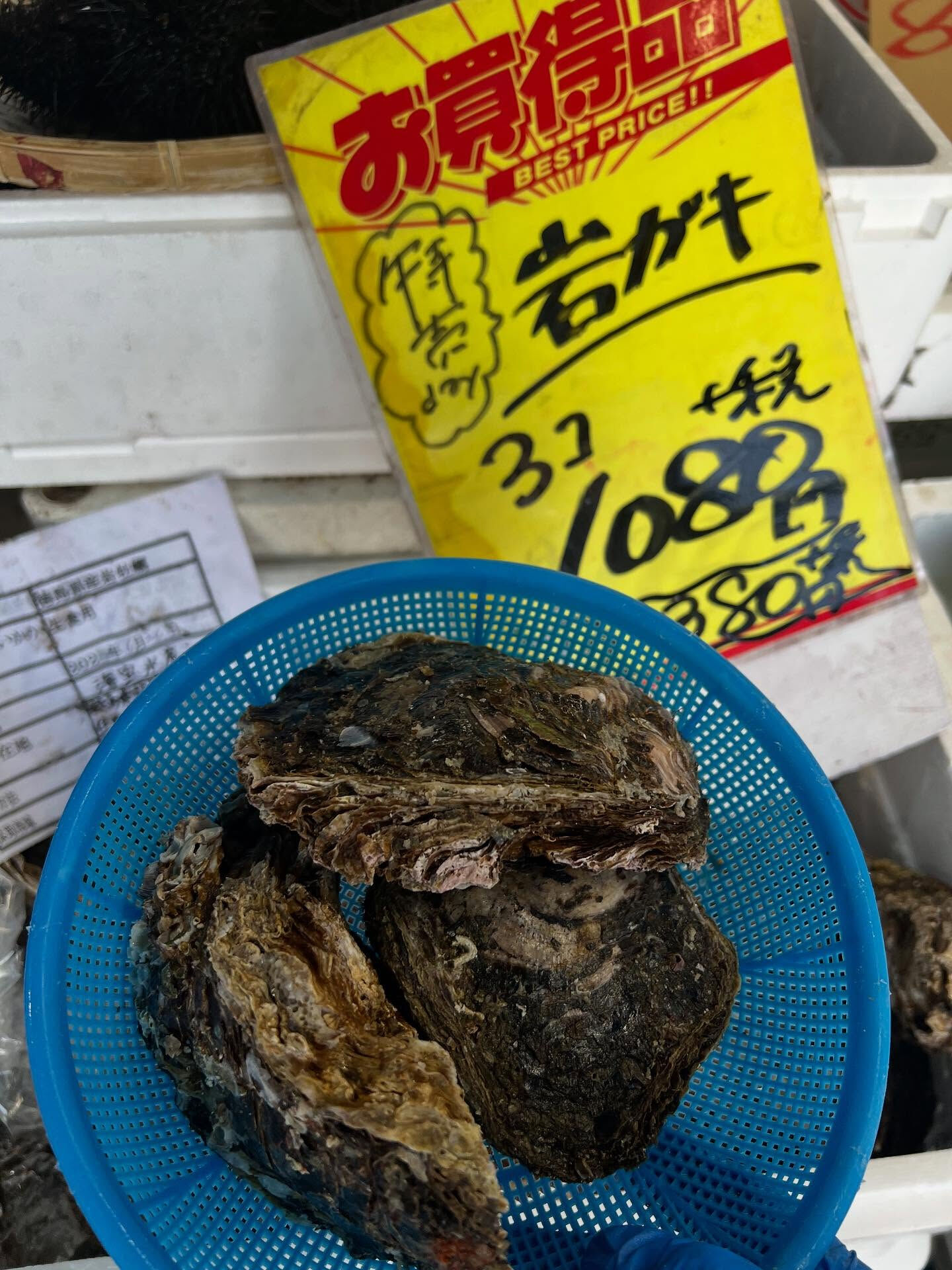 本日、月曜日start🐟
