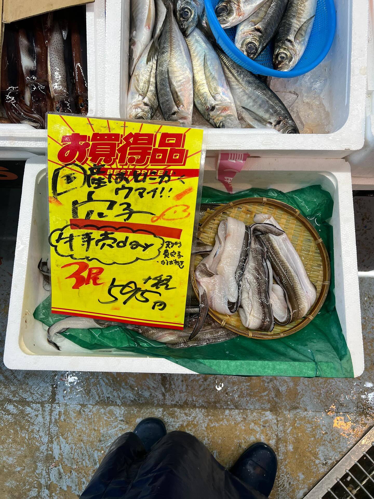 本日、月曜日start🐟