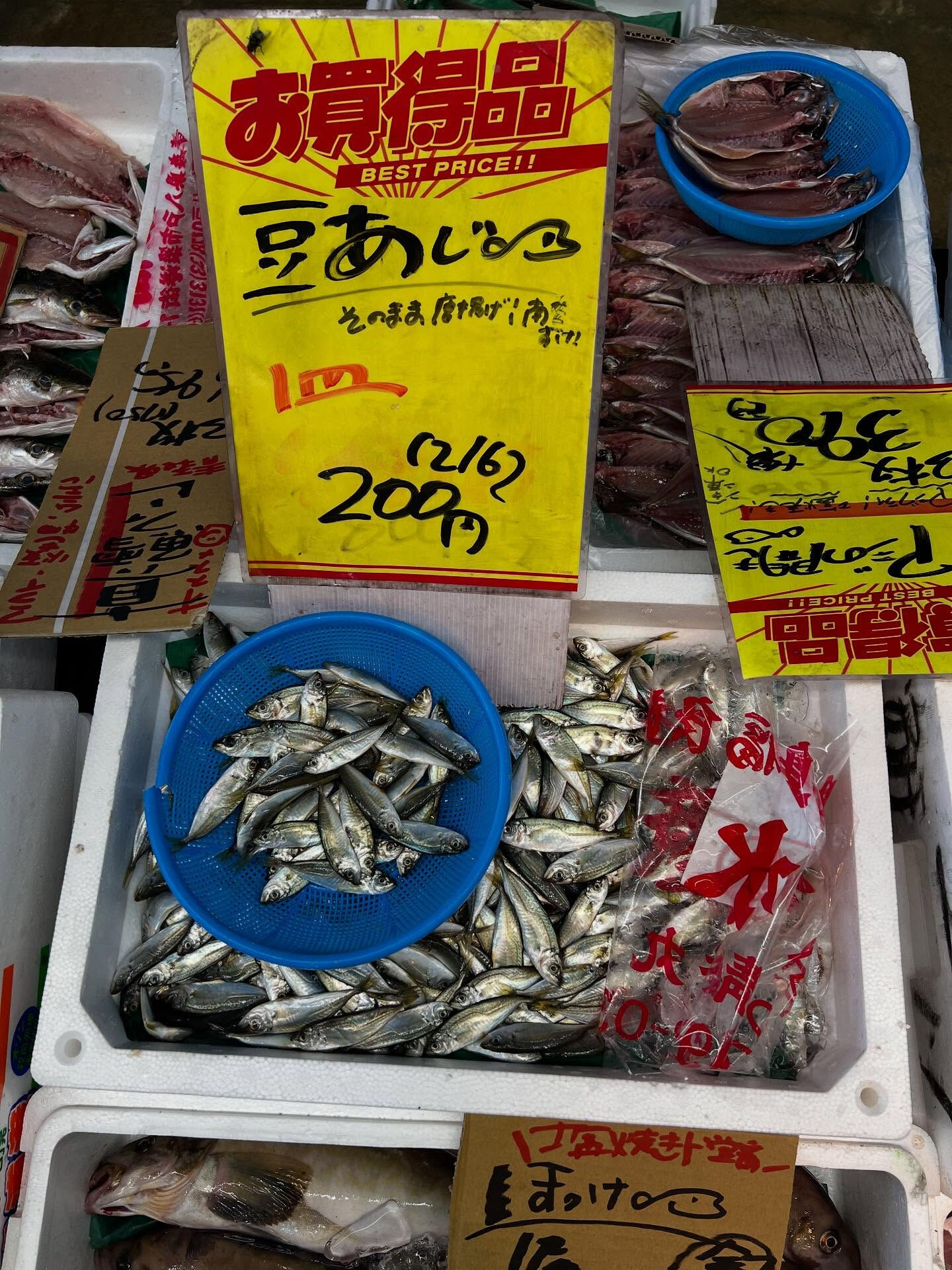 本日、月曜日start🐟