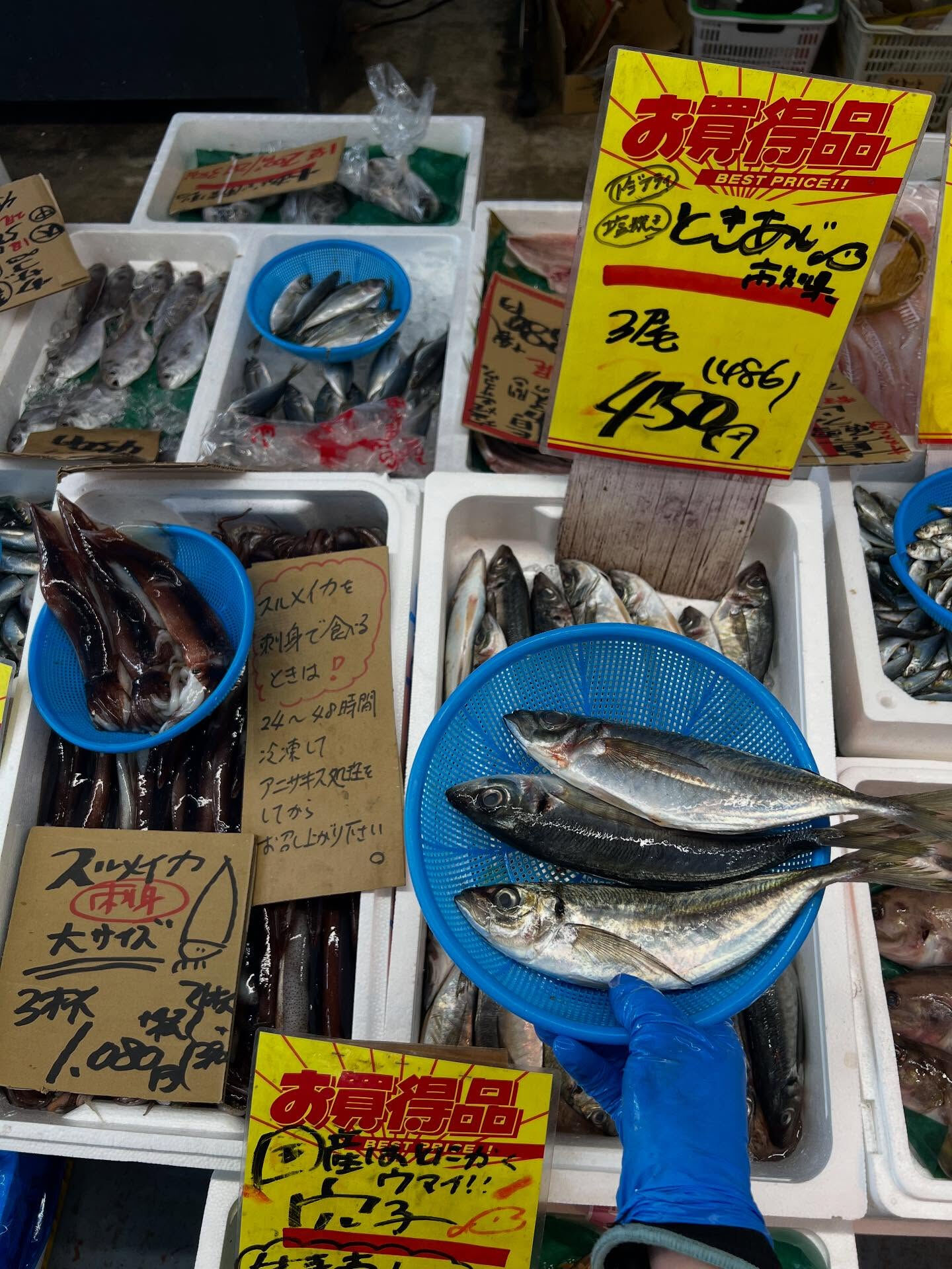 本日、月曜日start🐟
