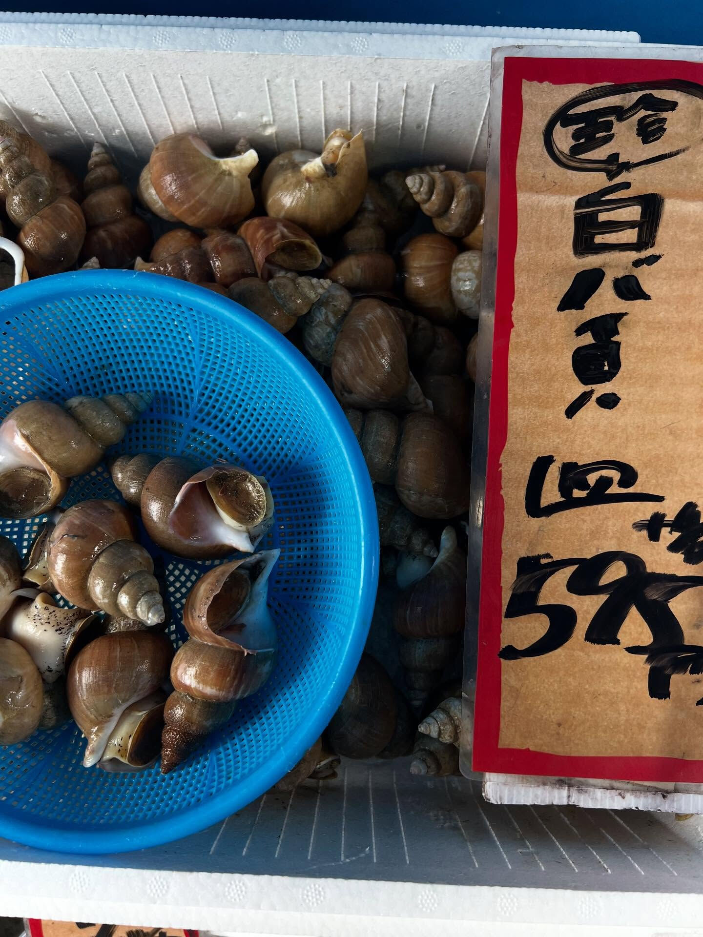 本日、月曜日start🐟