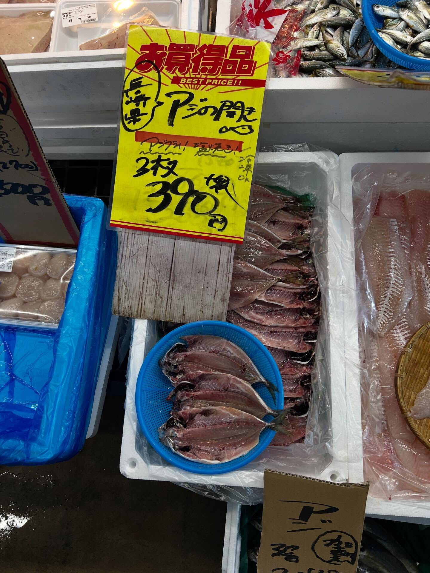 本日、月曜日start🐟