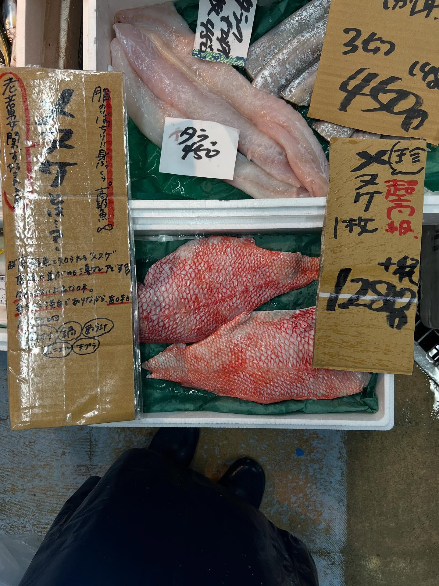 本日、月曜日start🐟