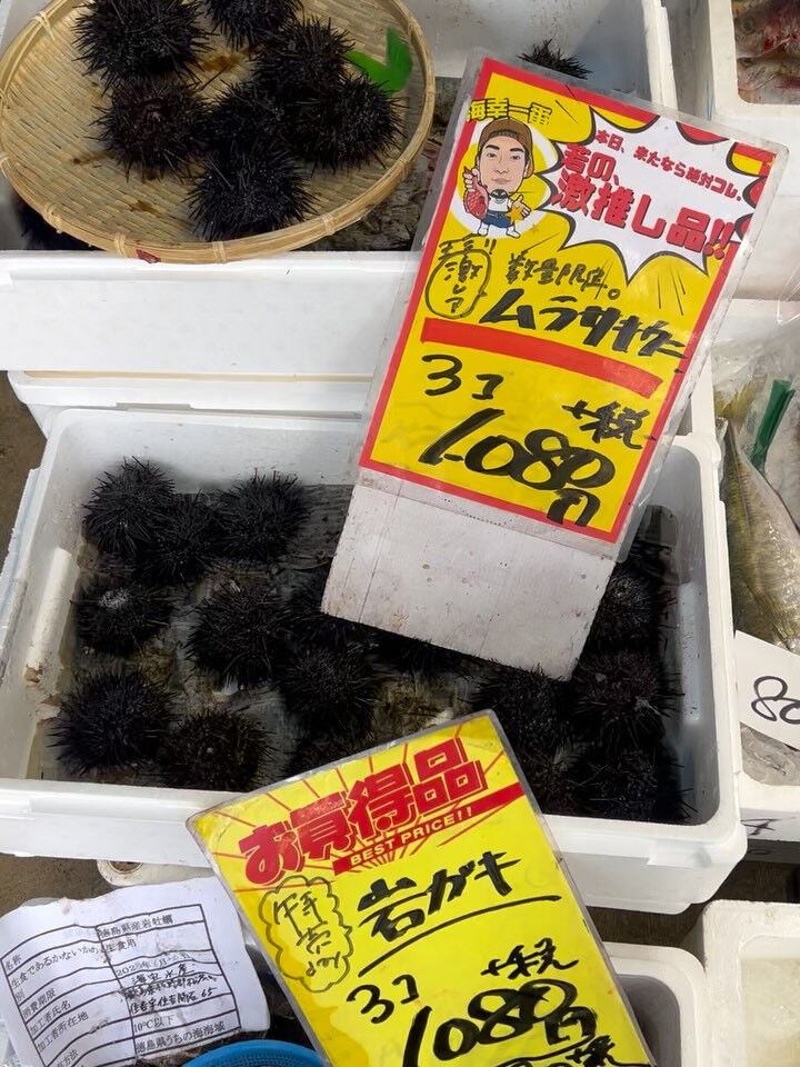 本日、月曜日start🐟