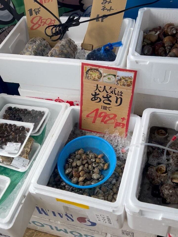 本日、月曜日start🐟