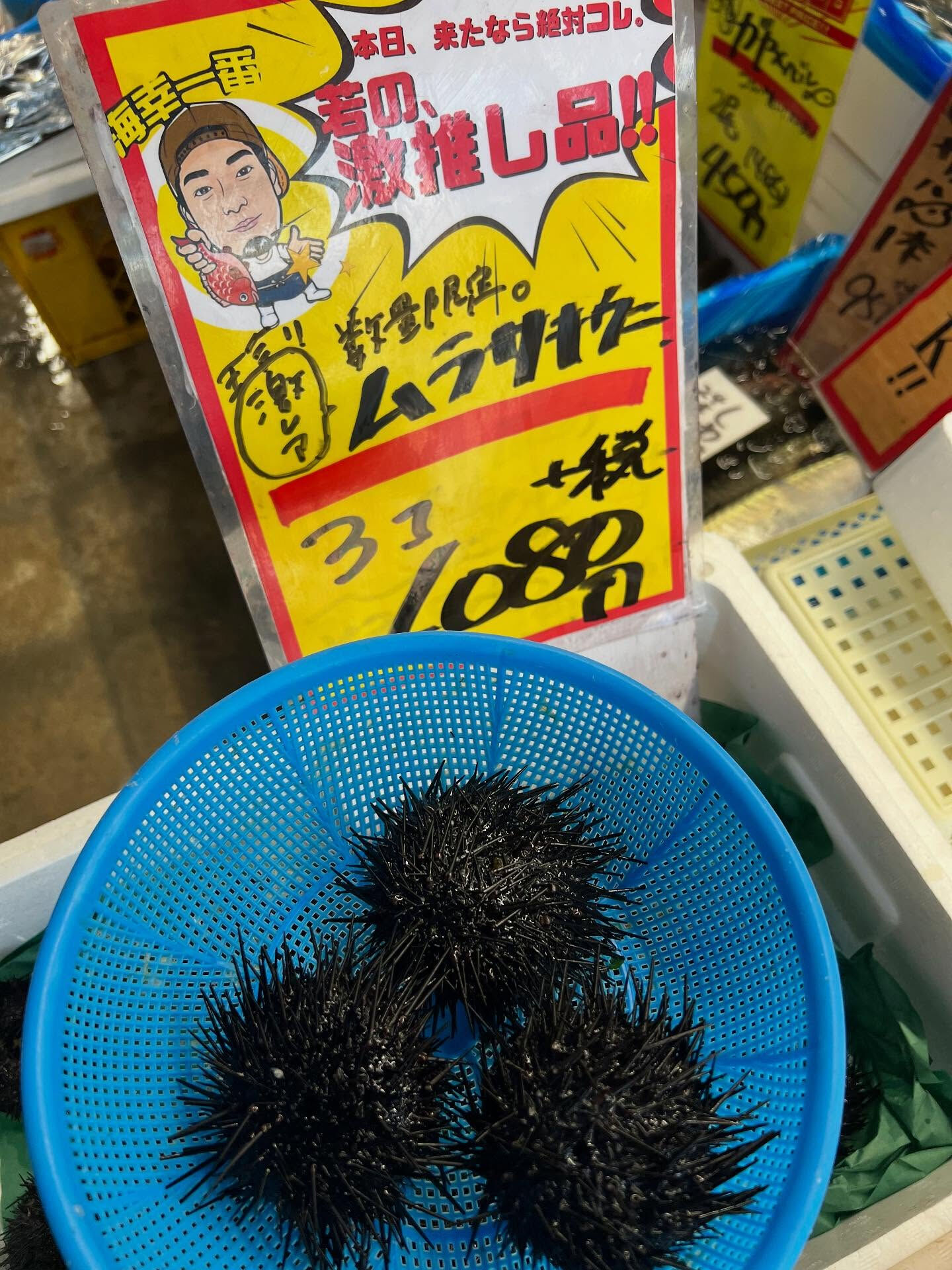 本日、火曜日start🐟