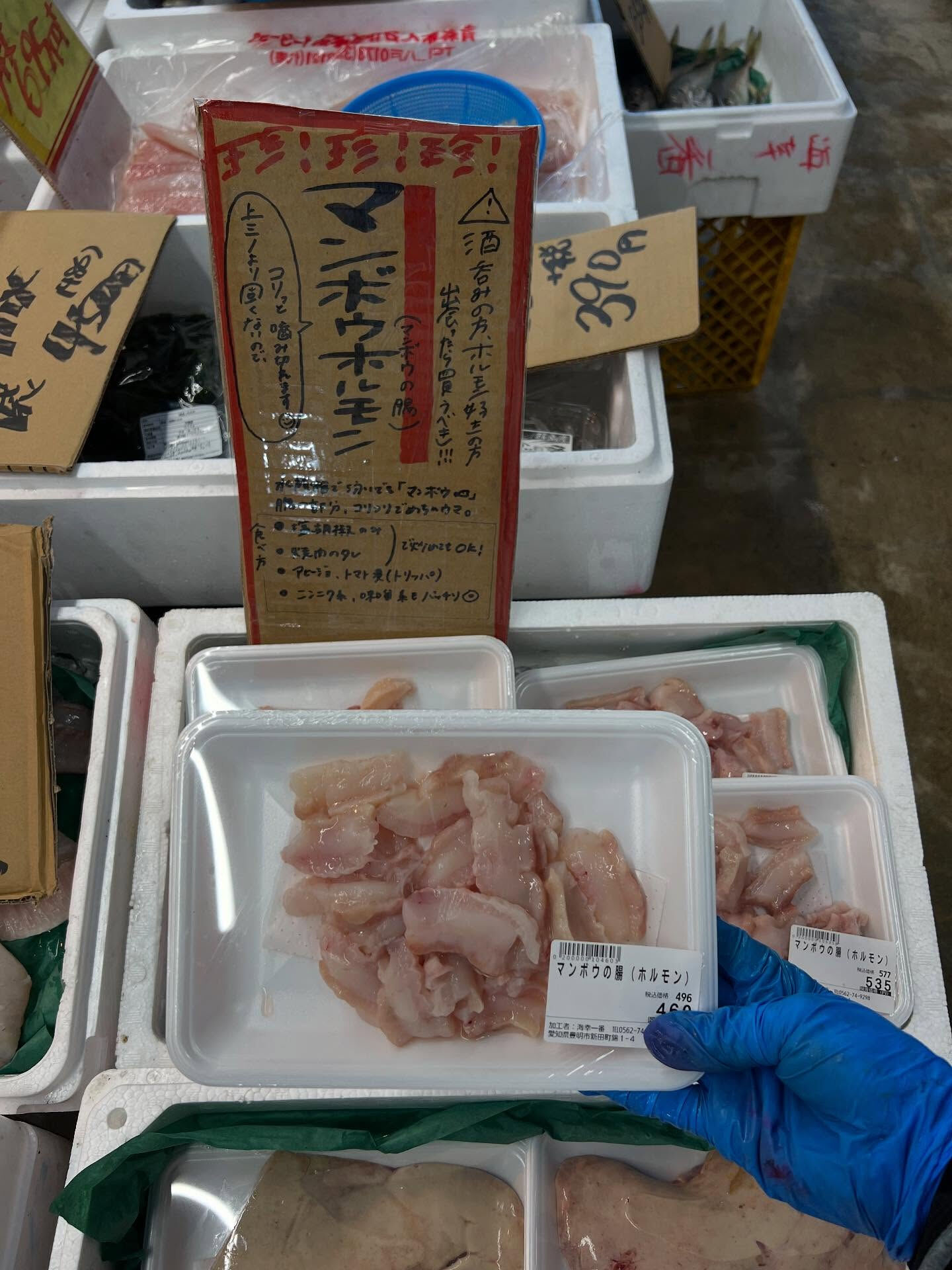 本日、火曜日start🐟