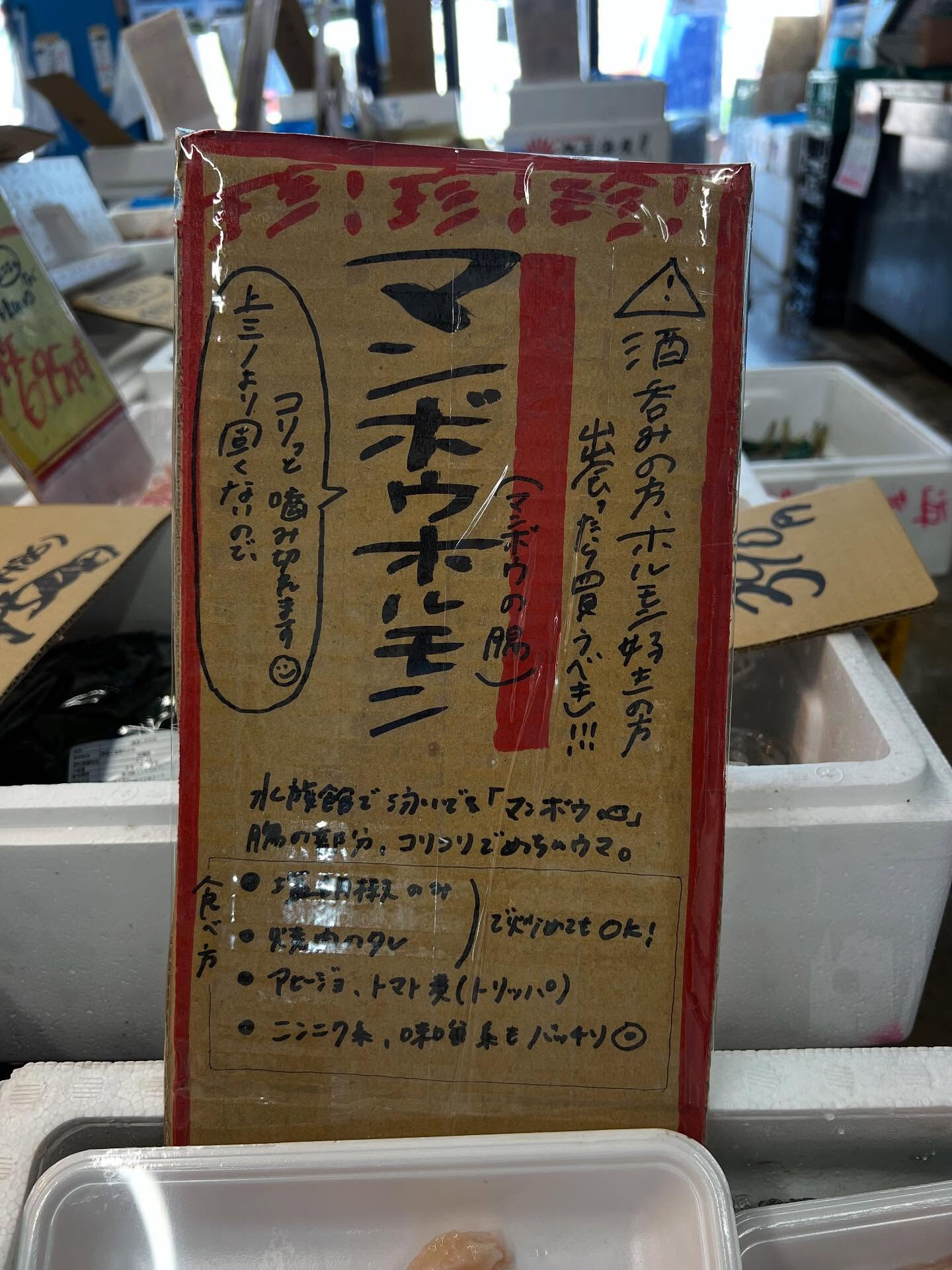 本日、火曜日start🐟