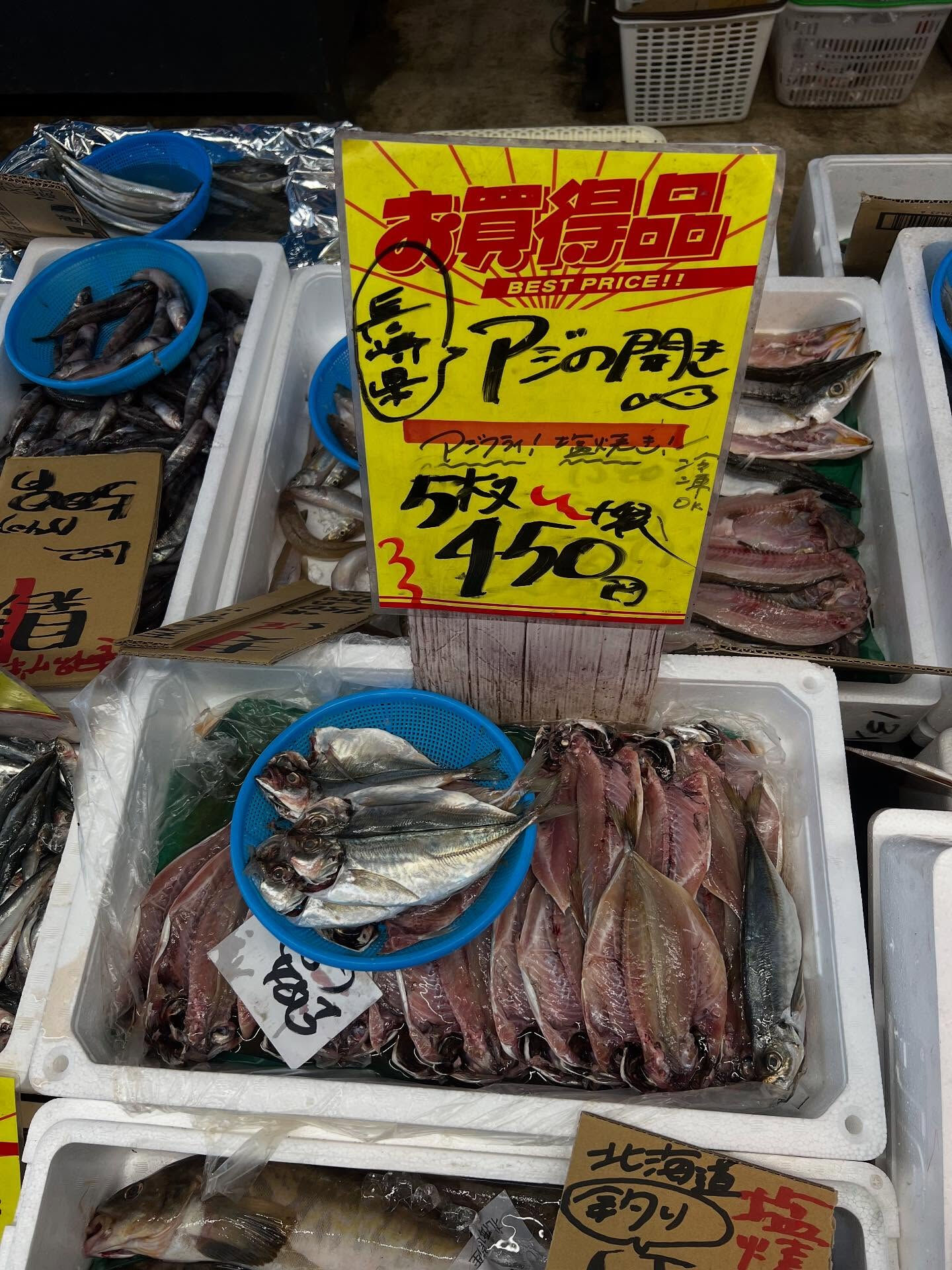 本日、火曜日start🐟