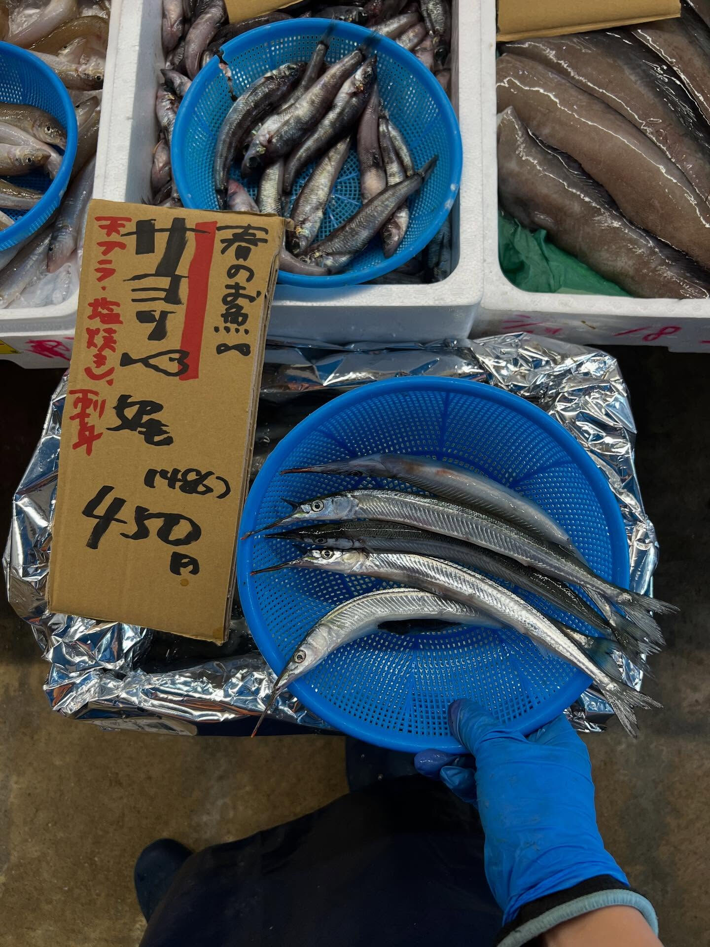 本日、火曜日start🐟