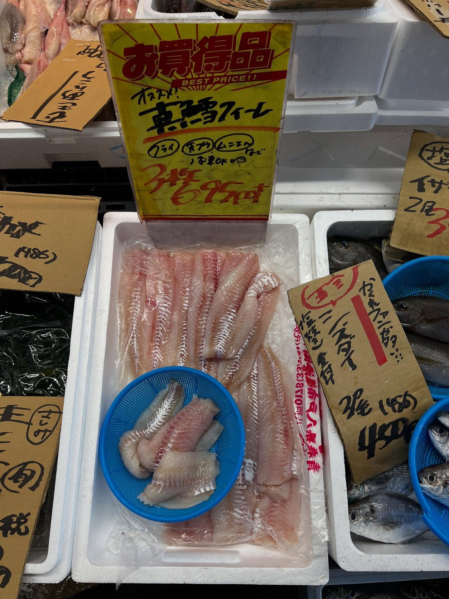 本日、火曜日start🐟