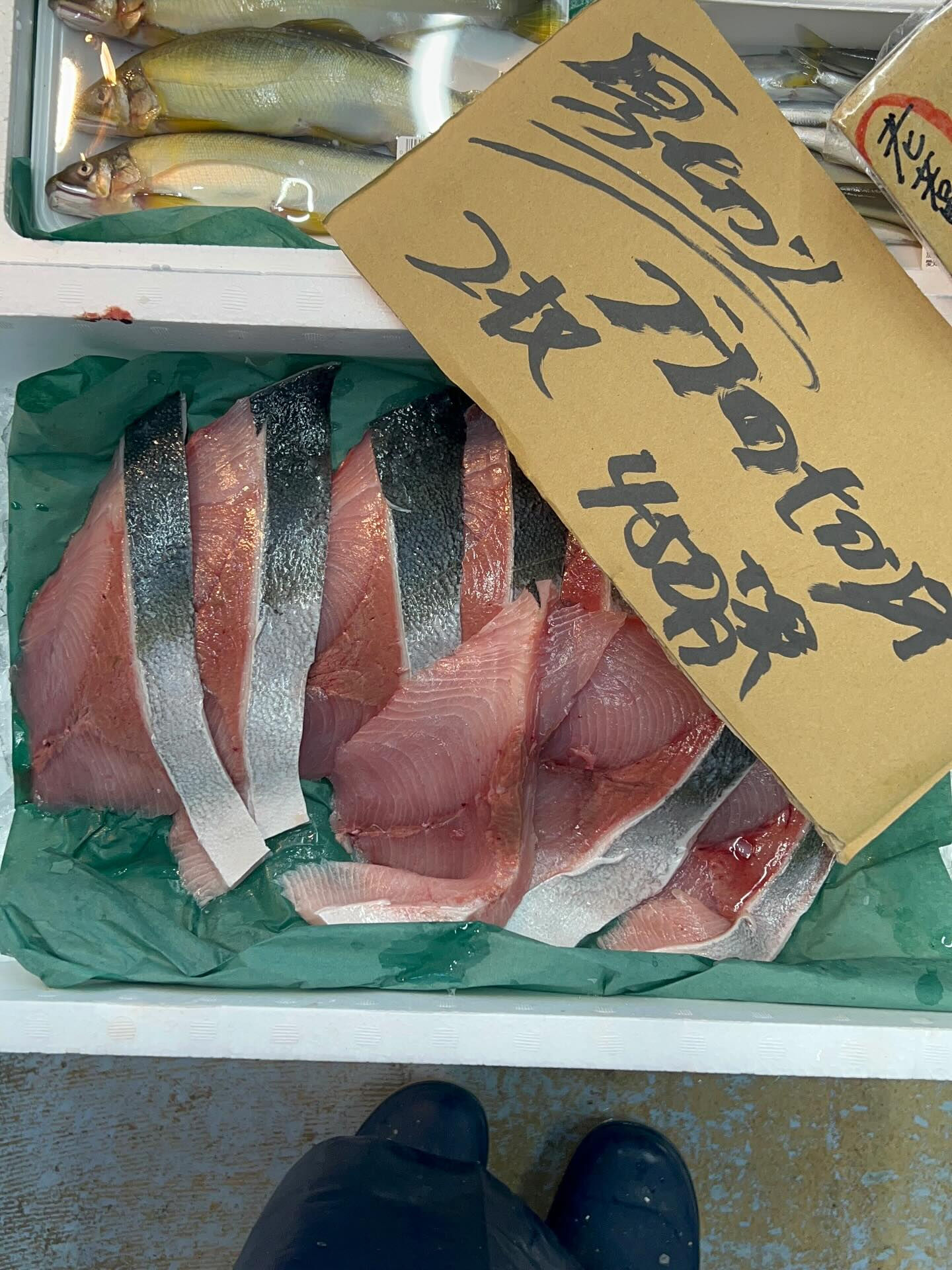 本日、火曜日start🐟