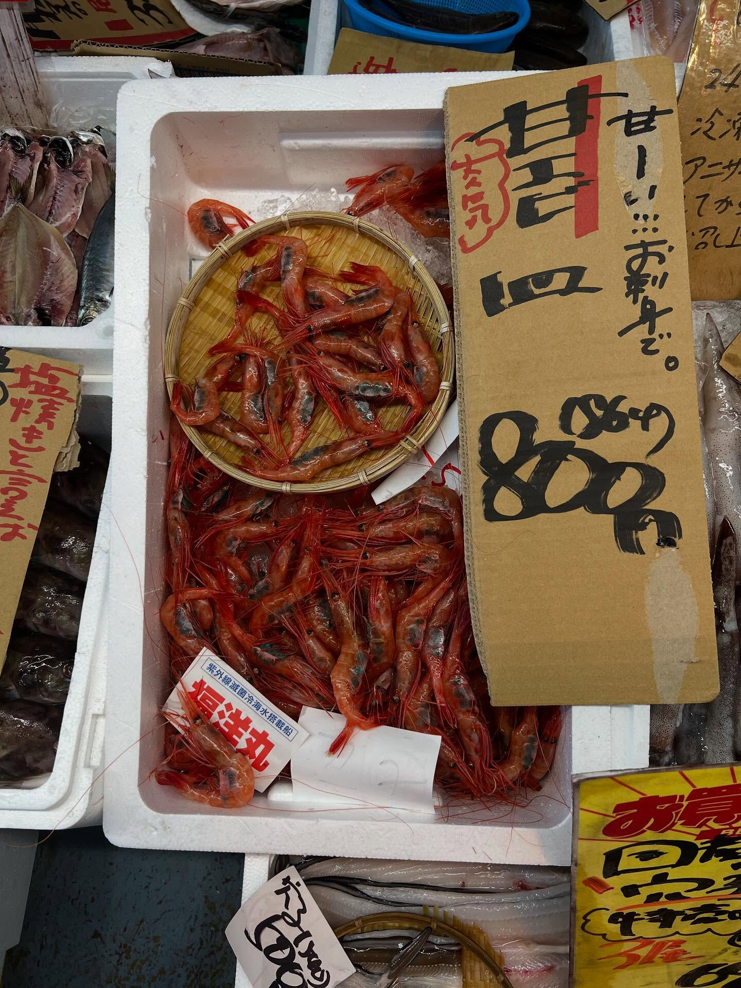 本日、火曜日start🐟