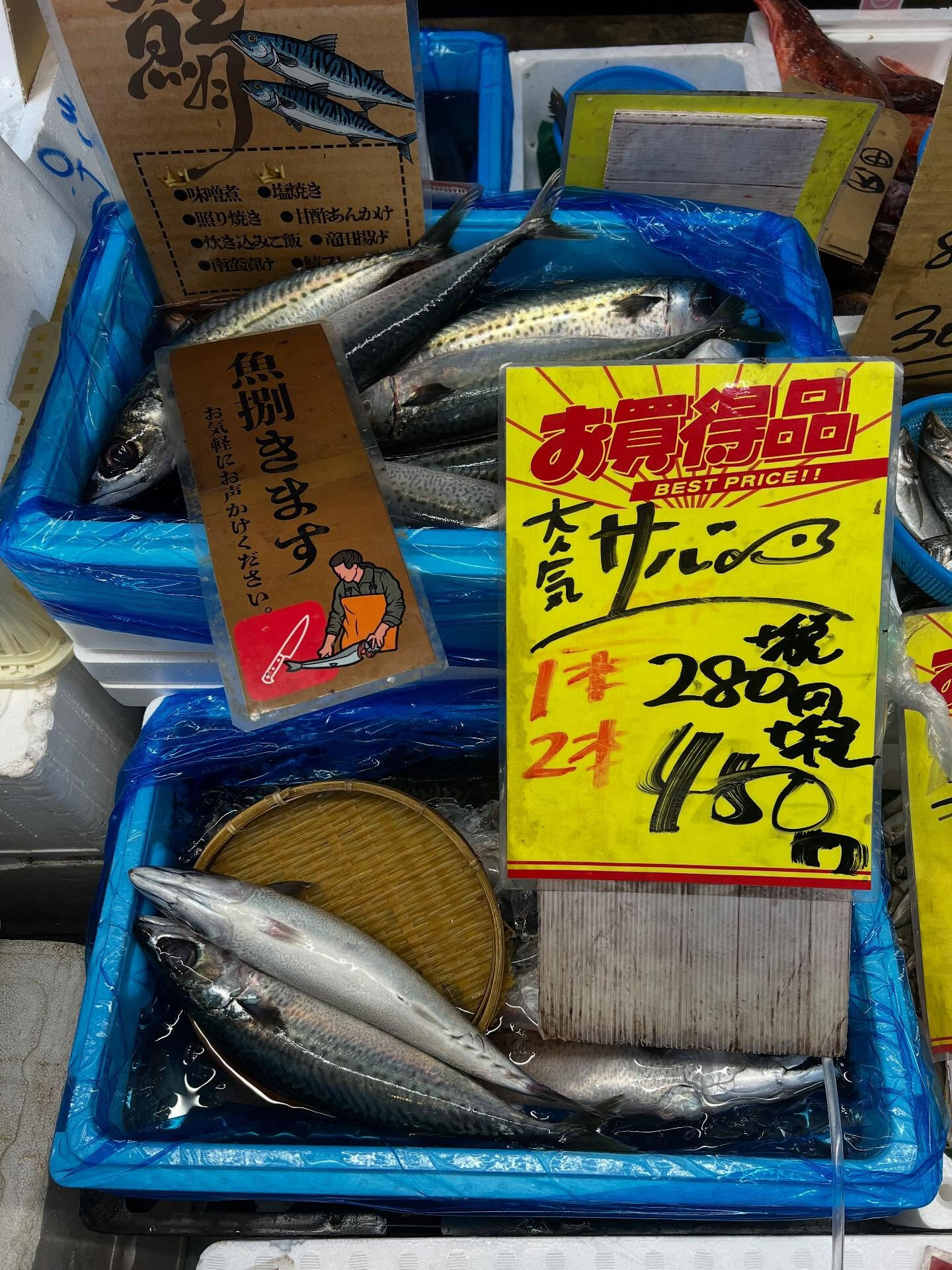 本日、火曜日start🐟