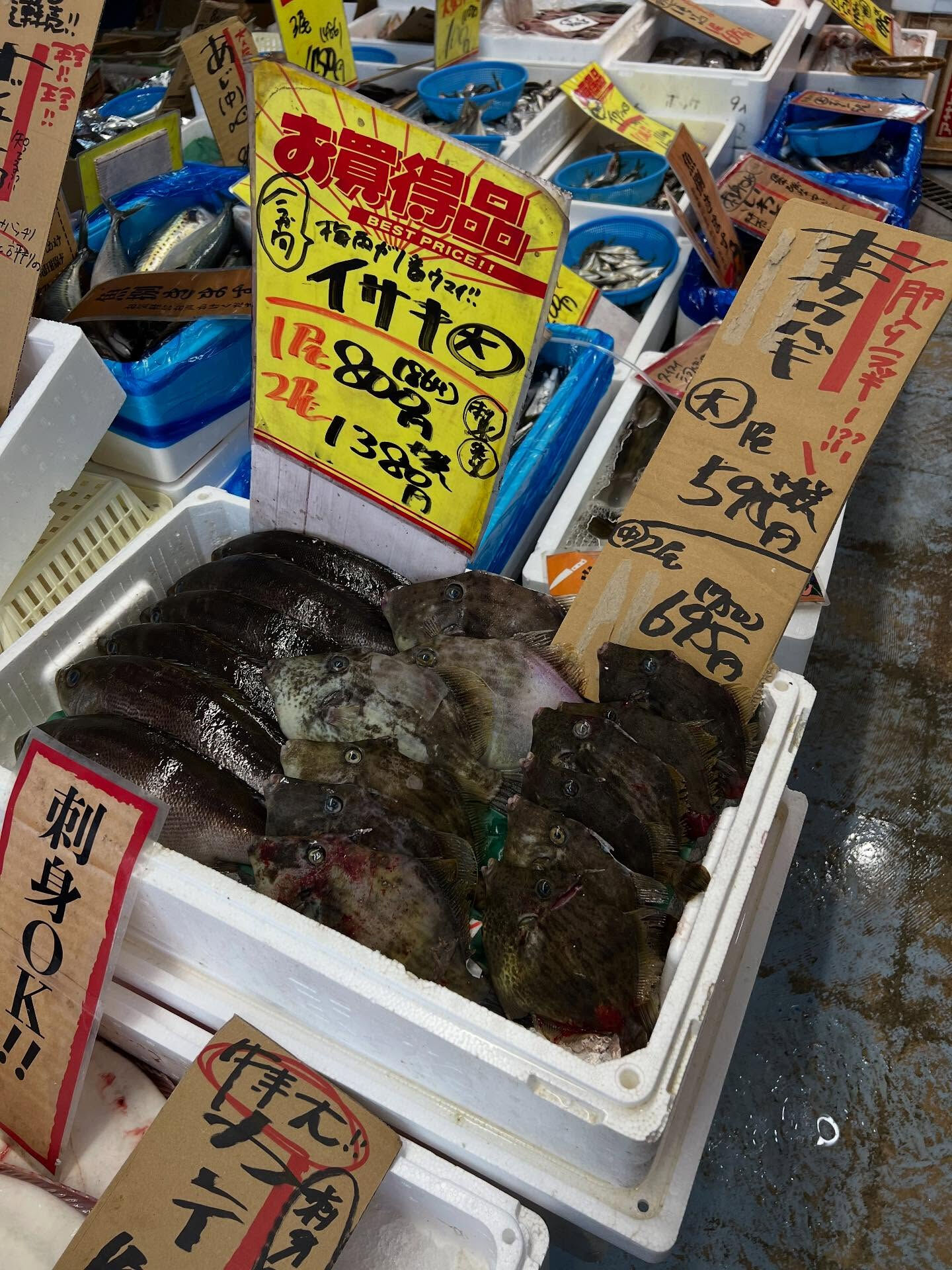 本日、火曜日start🐟