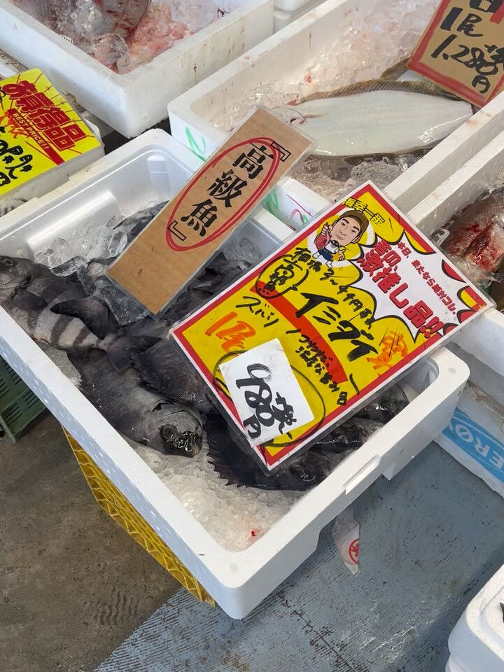 本日、火曜日start🐟