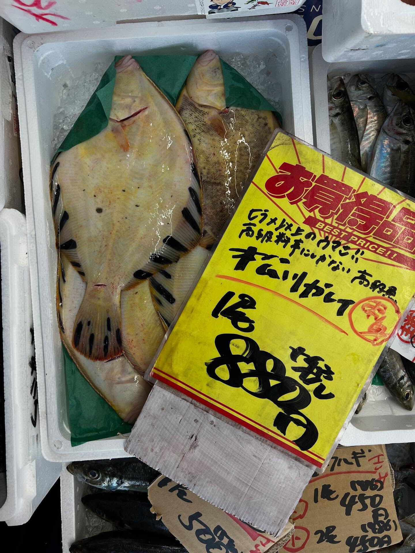 本日、木曜日start🐟