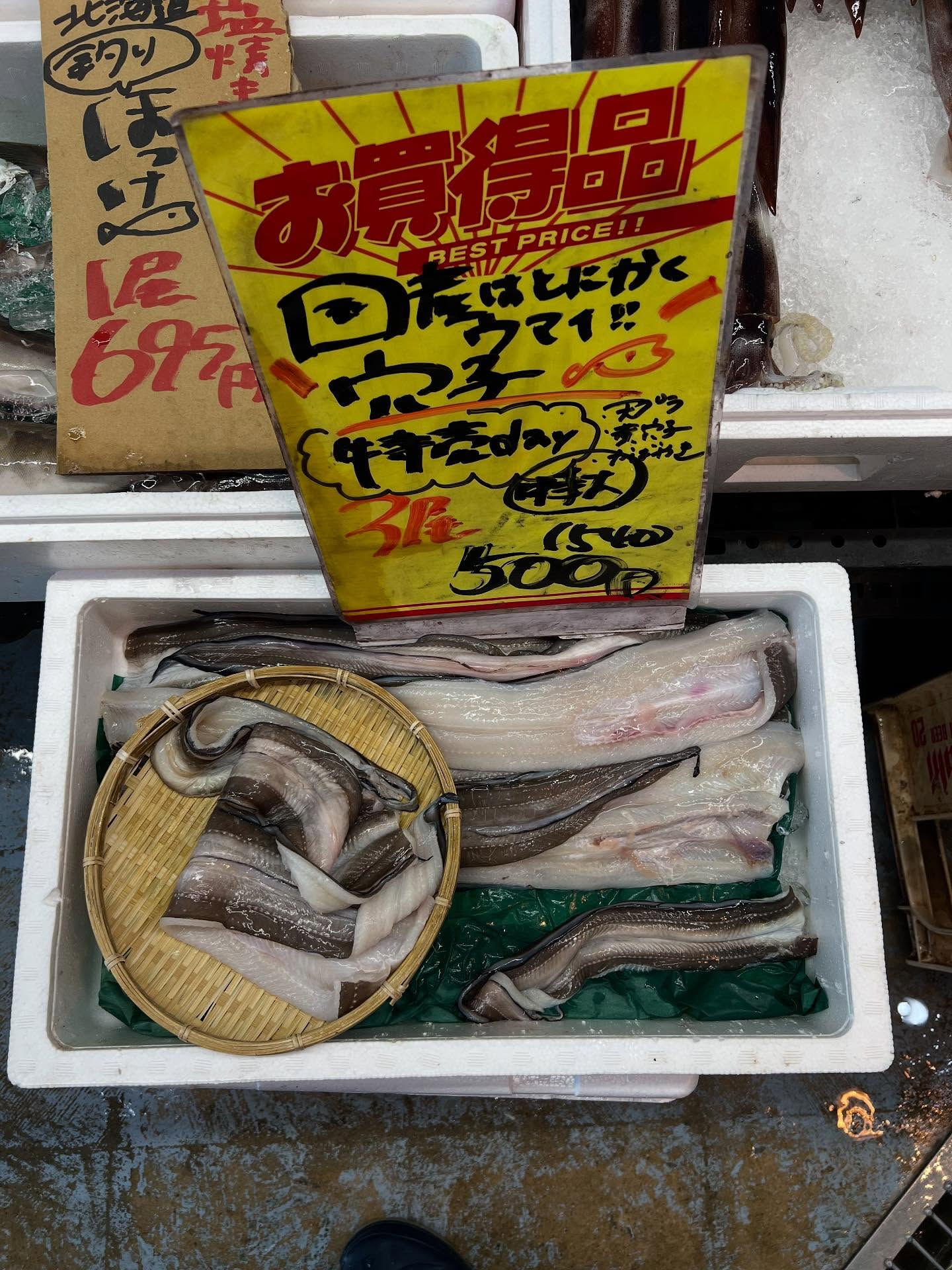 本日、木曜日start🐟