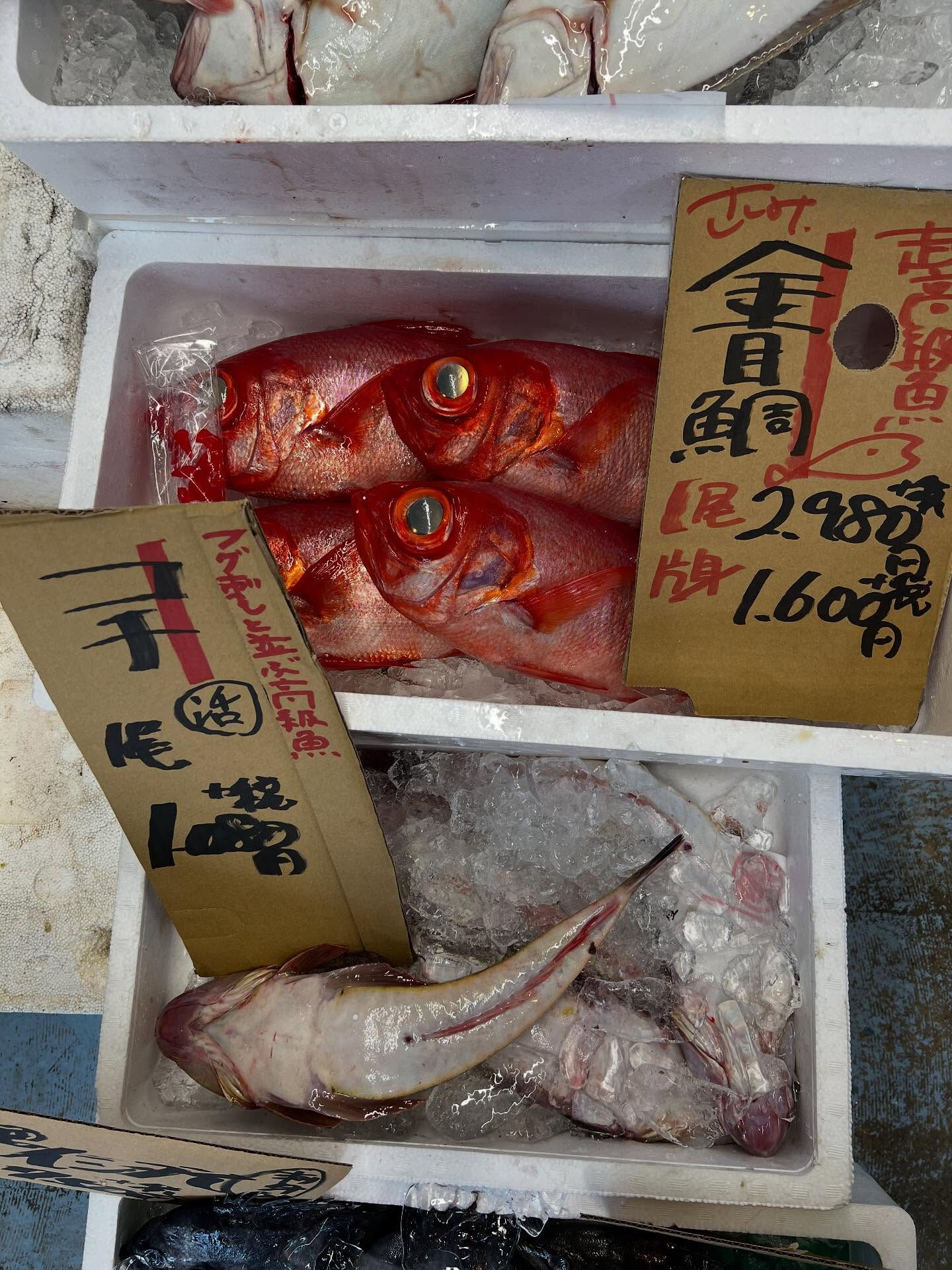 本日、木曜日start🐟