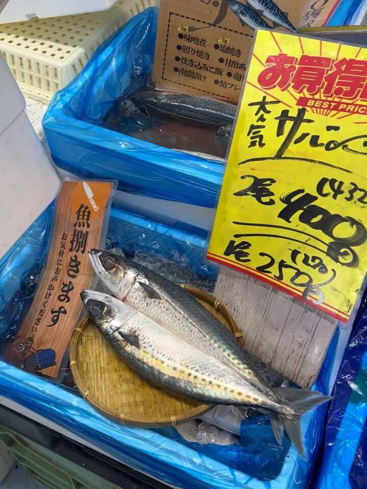 本日、木曜日start🐟