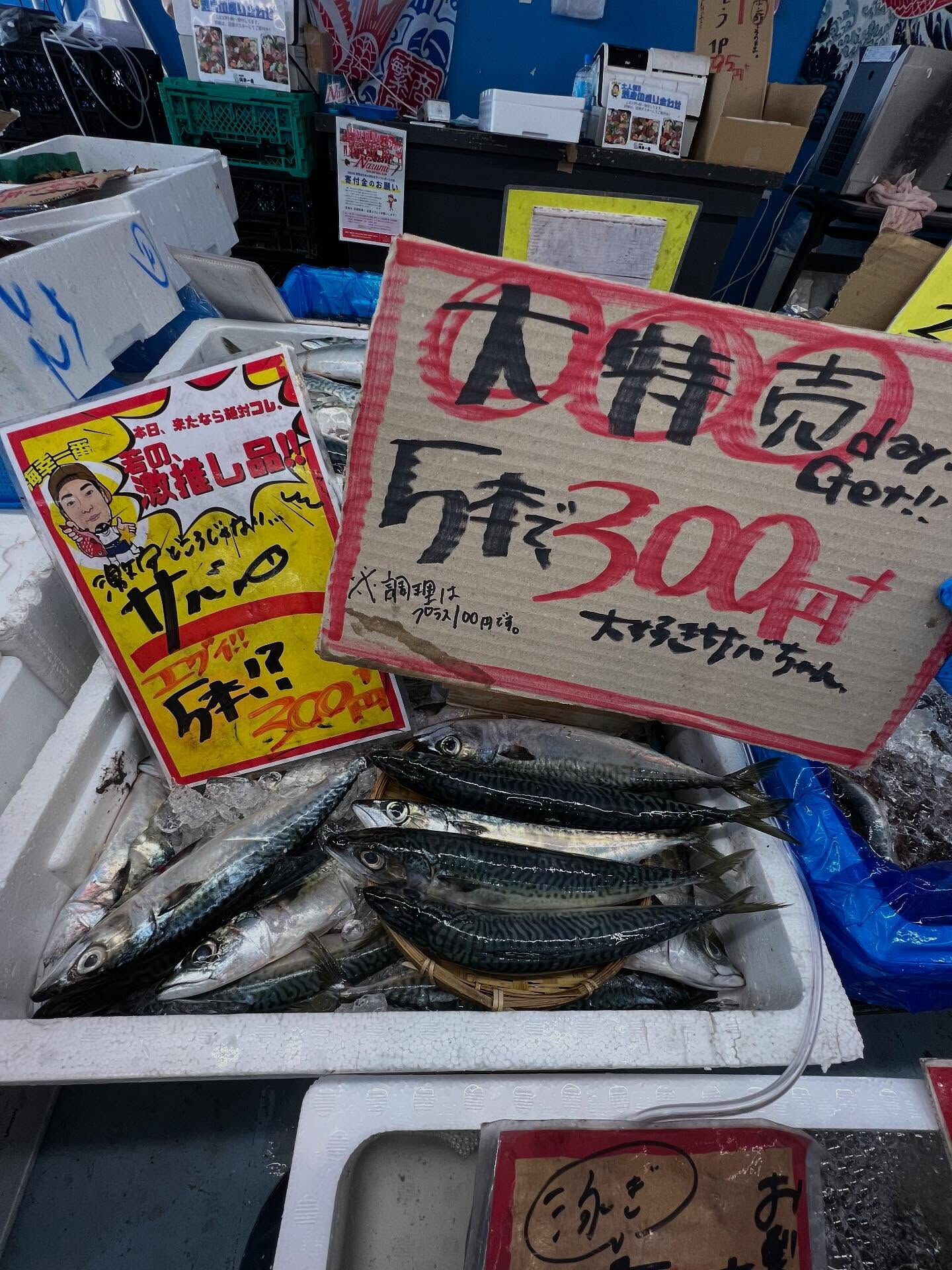 本日、金曜start🐟