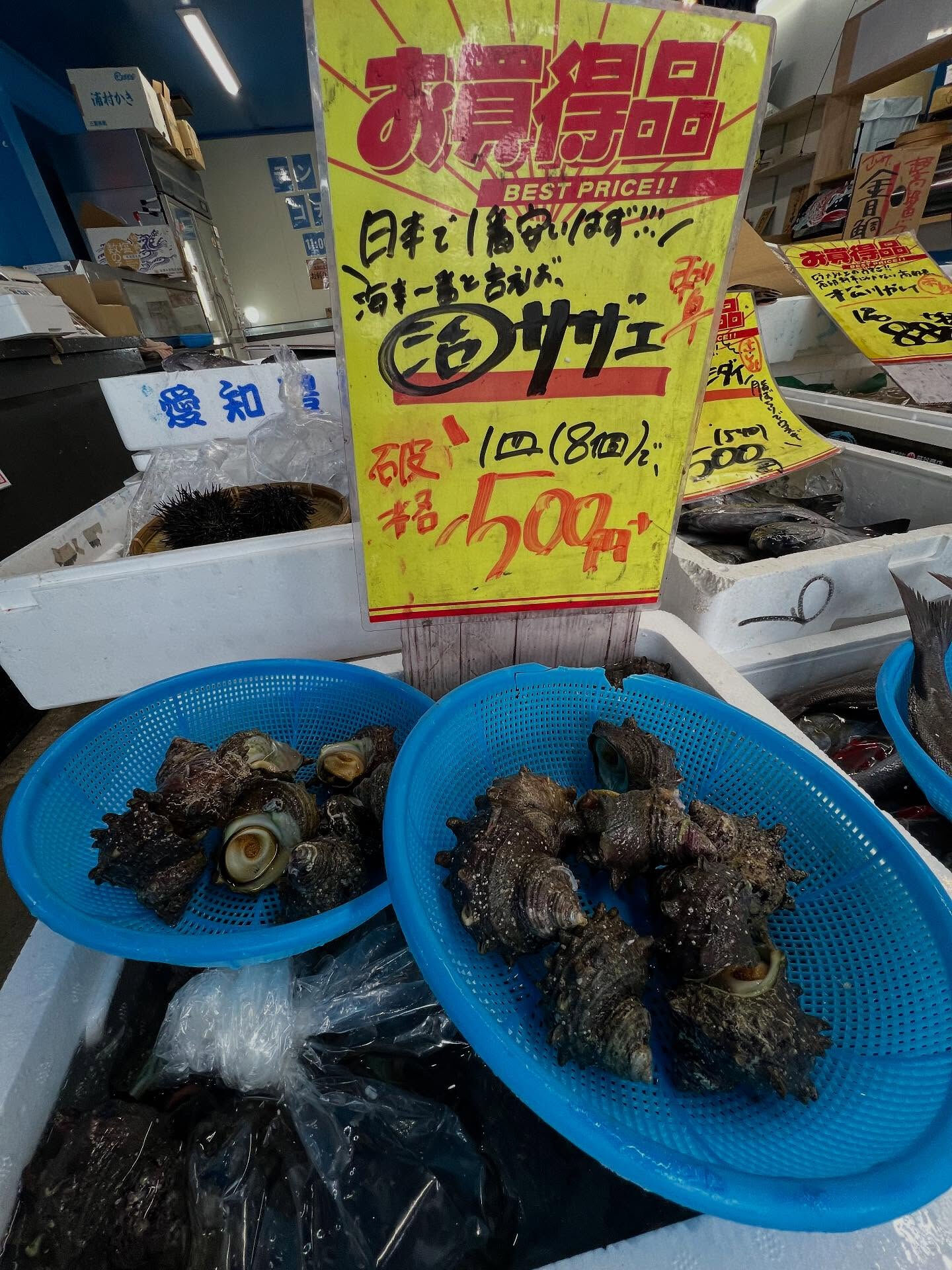 本日、金曜start🐟