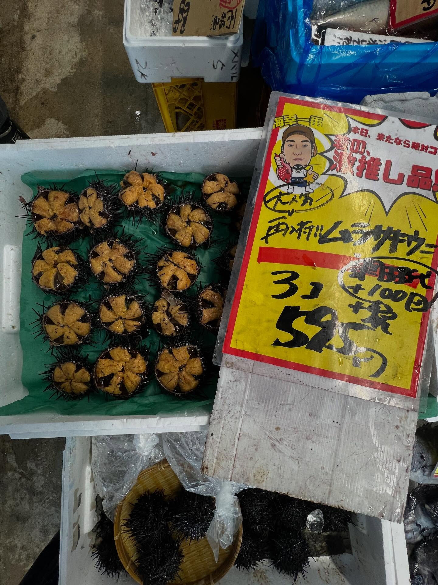 本日、金曜start🐟