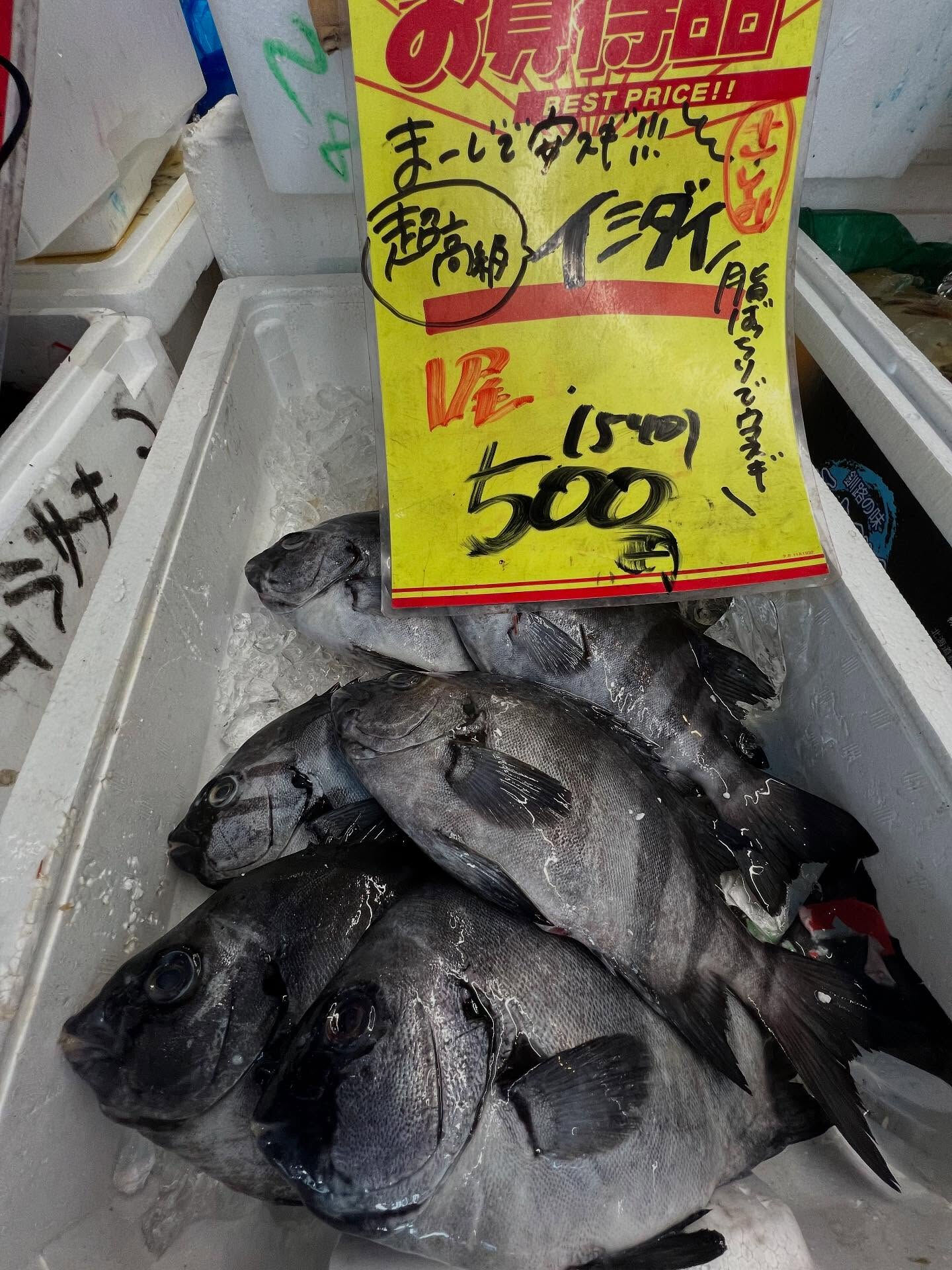本日、金曜start🐟