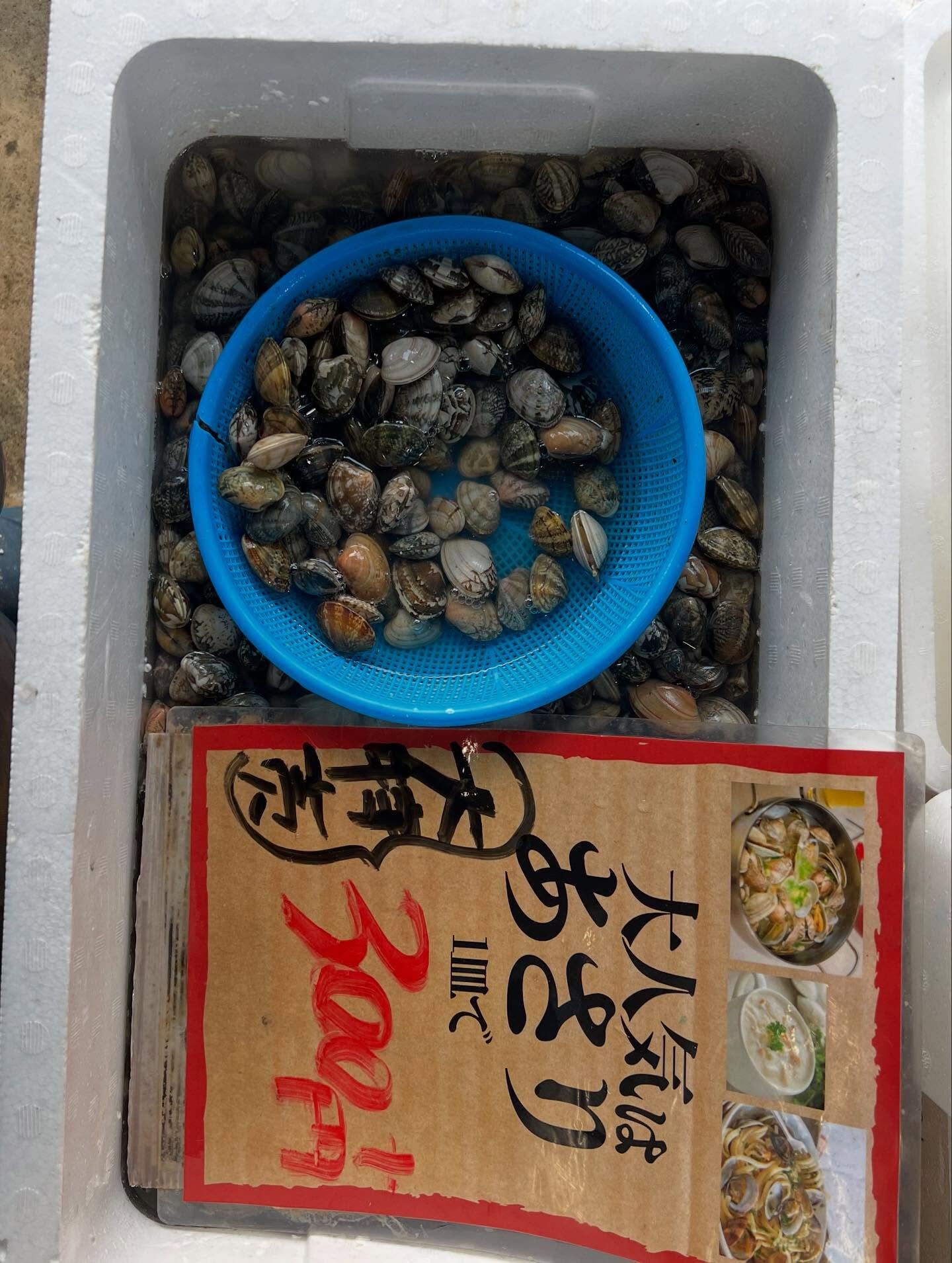 本日、金曜start🐟