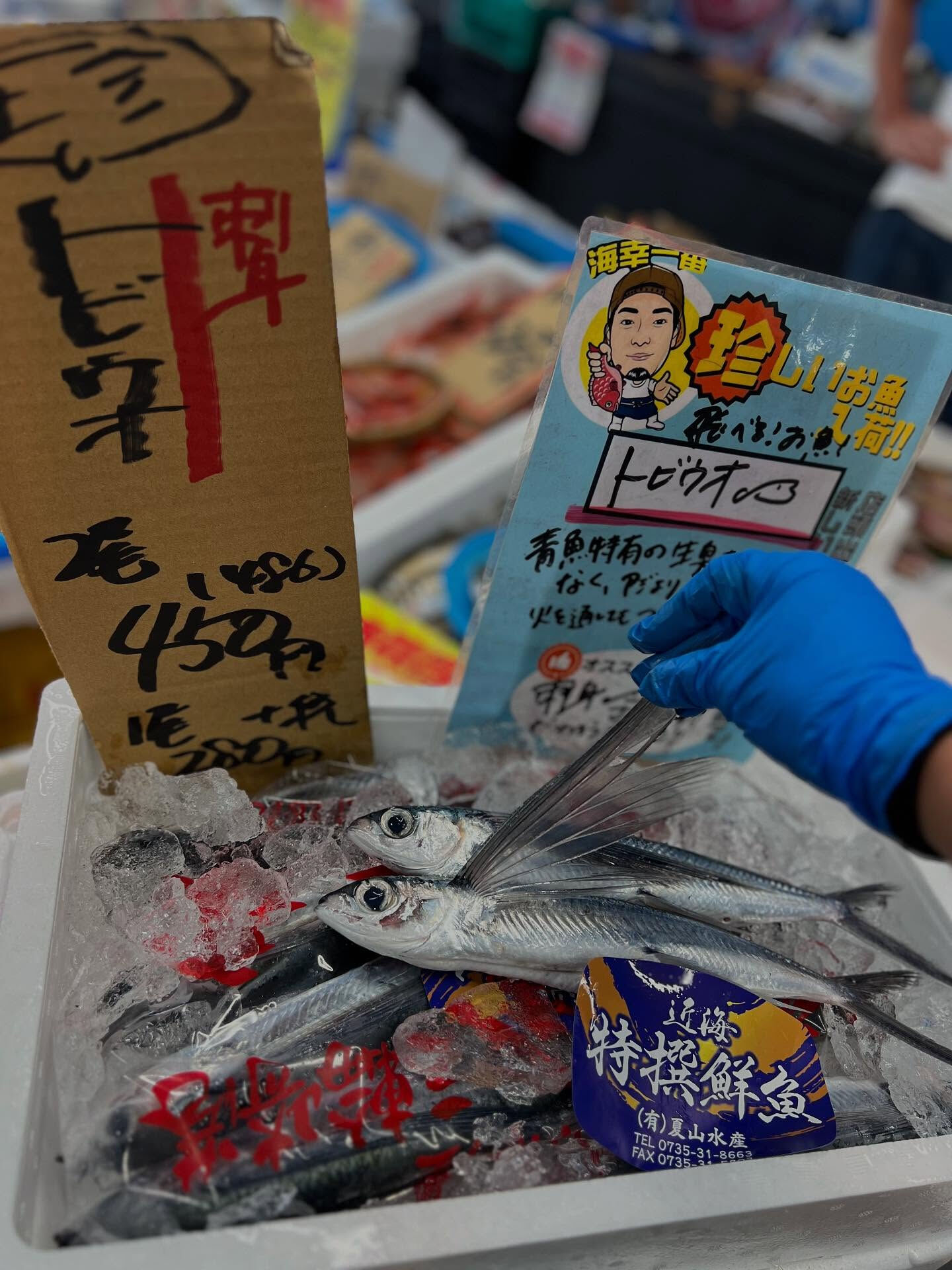 本日、金曜start🐟