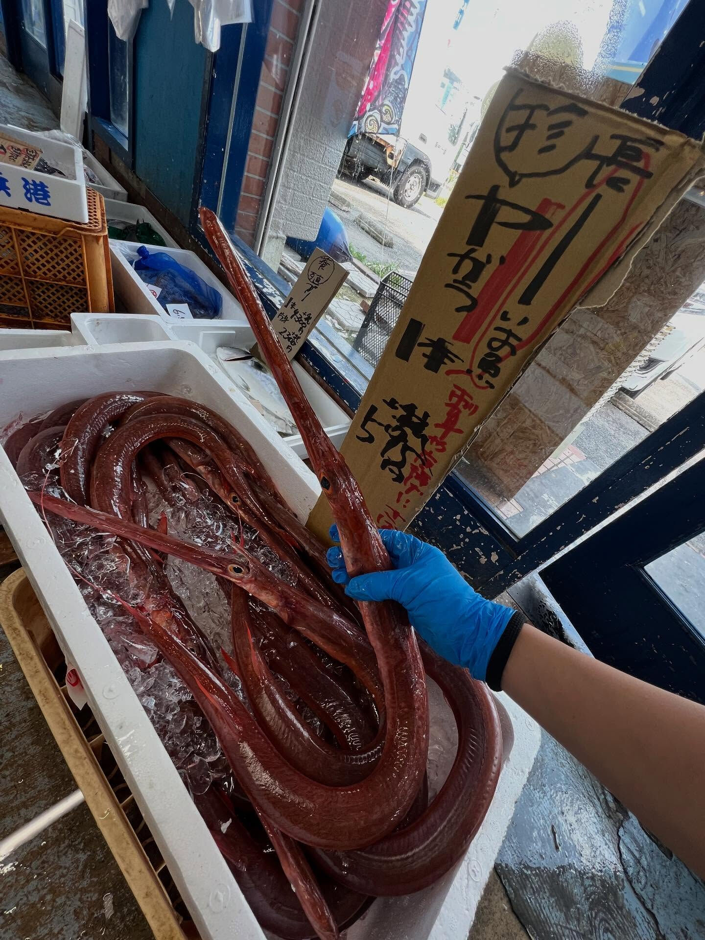 本日、金曜start🐟