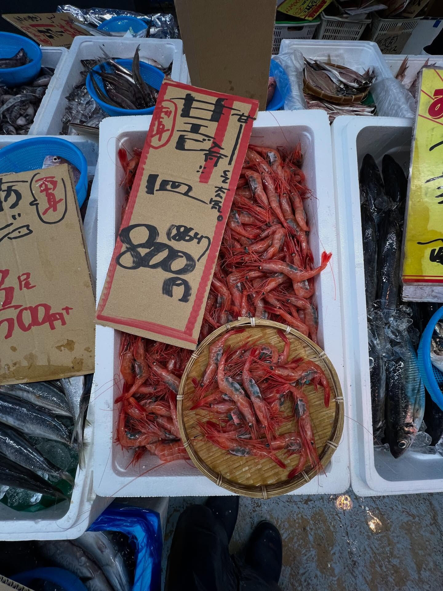 本日、金曜start🐟