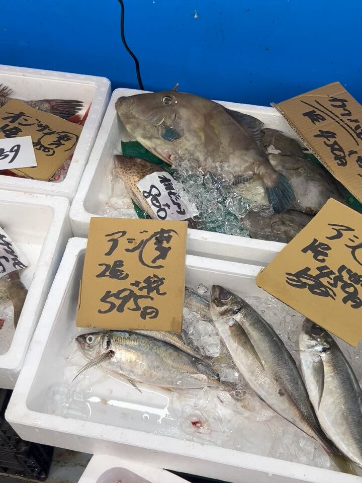 本日、金曜start🐟