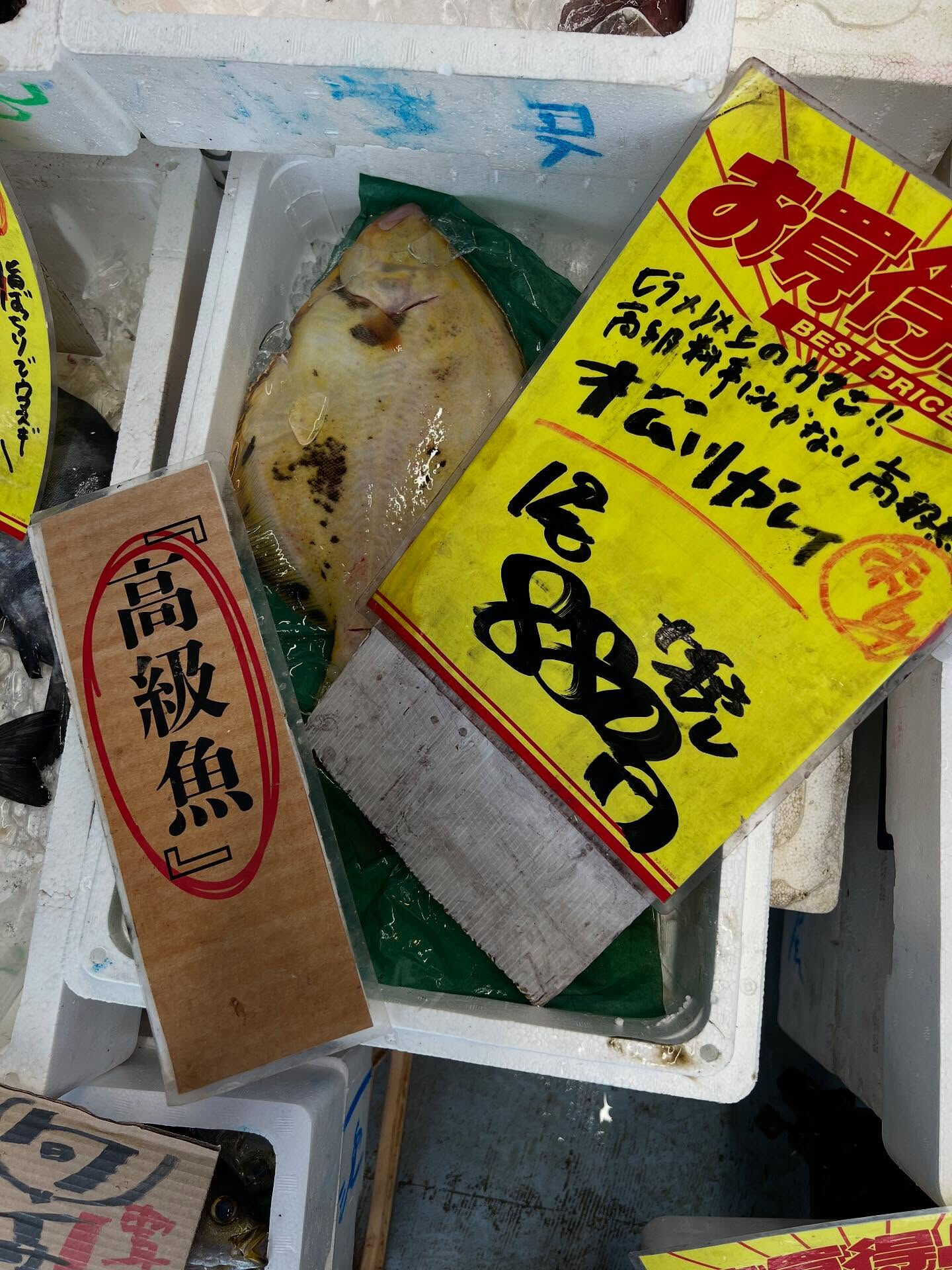 本日、金曜start🐟