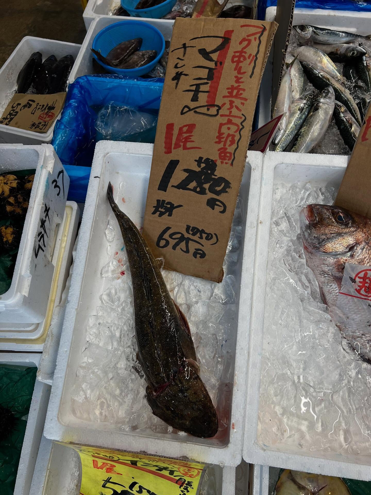 本日、金曜start🐟